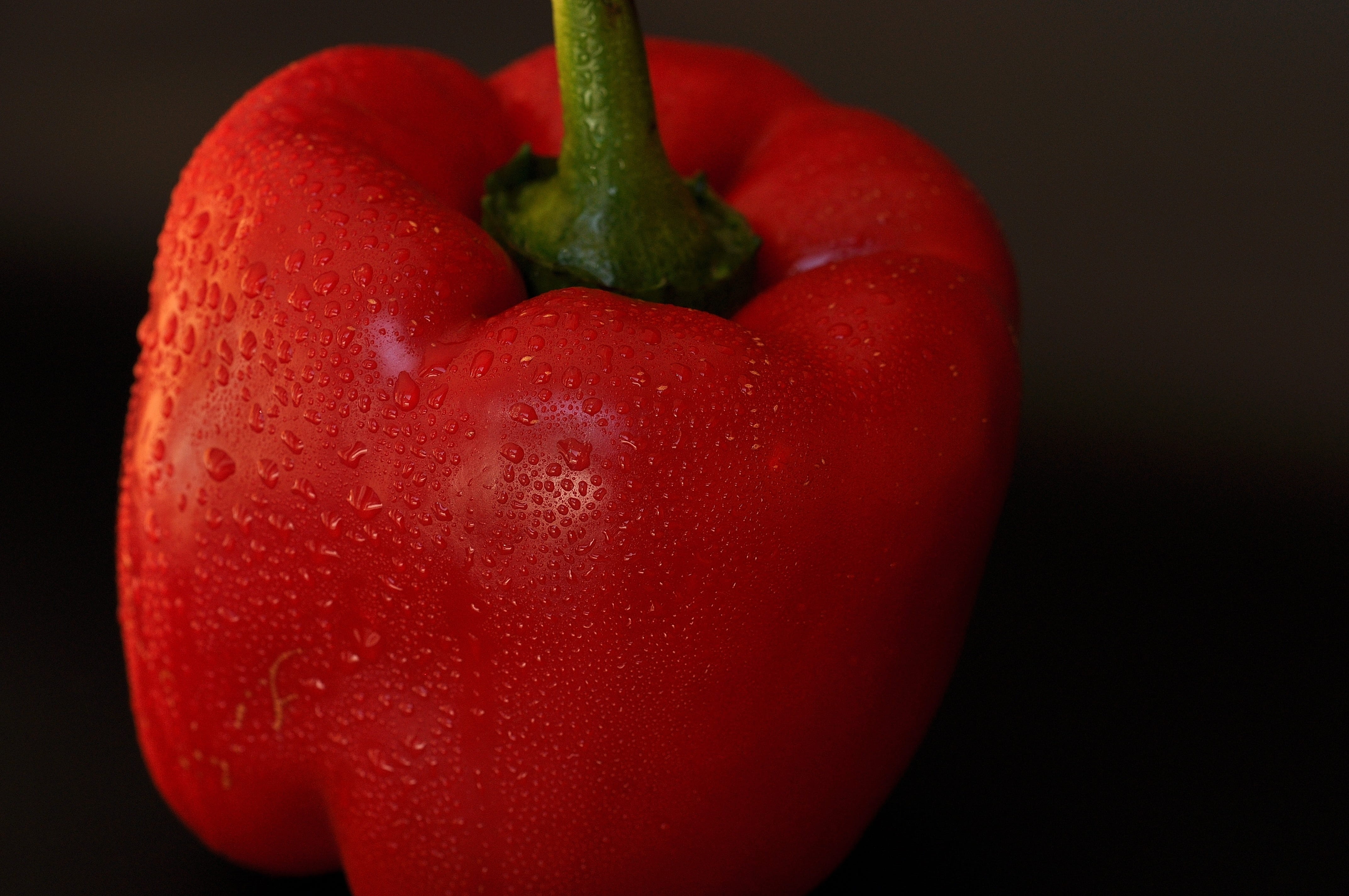 fruit, no people, Red Pepper, vegetable, pepper, food and drink, black background, indoors, plant stem, drop, close-up, 4K, nachtschattengewächs, red bell pepper, HD Wallpaper