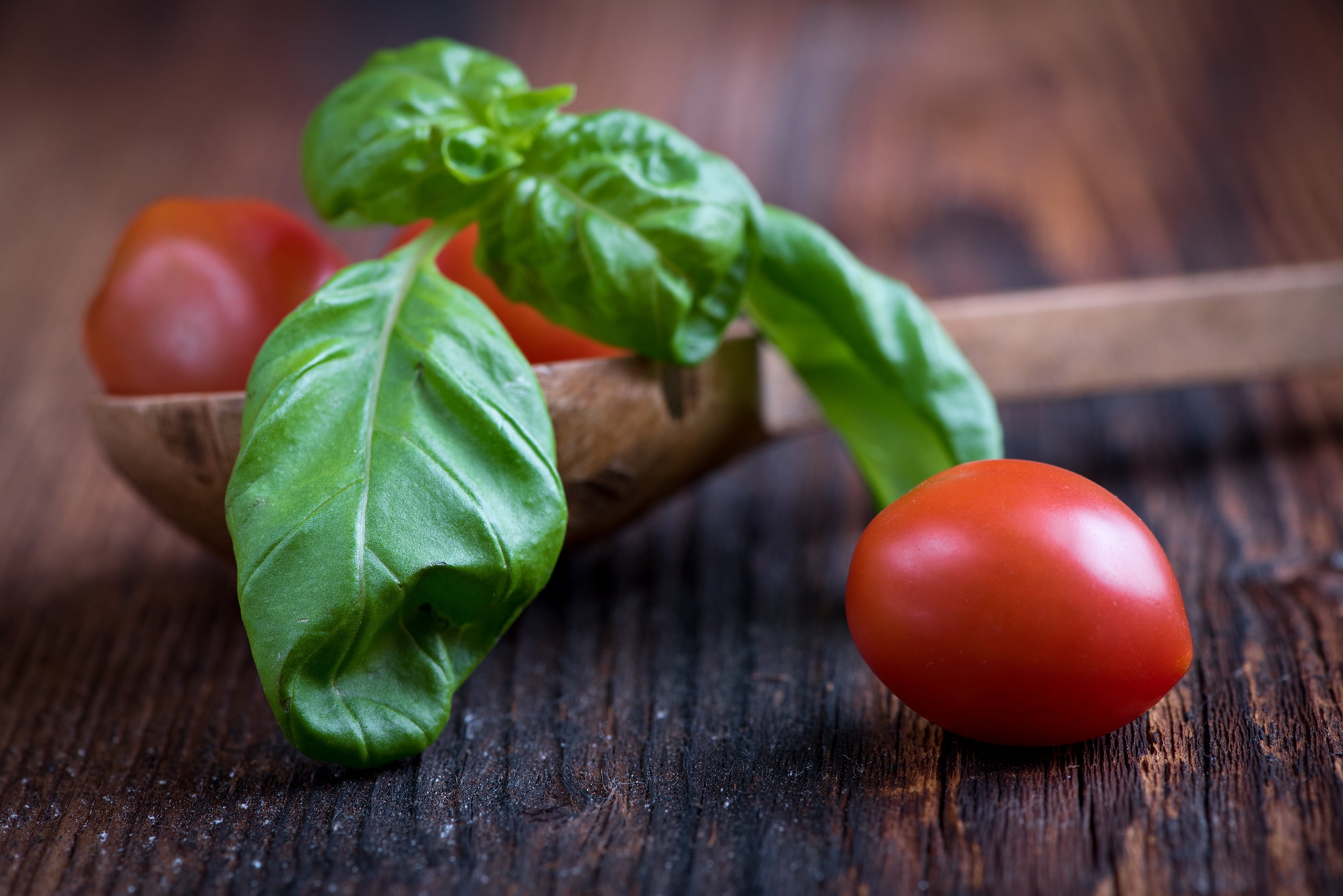 brown, wellbeing, 2K, green color, spice, vegetables, basil, basil leaf, ladle, leaves, frisch, food, chlorophyll, tasty, healthy, herb garden, ocimum basilicum, HD Wallpaper