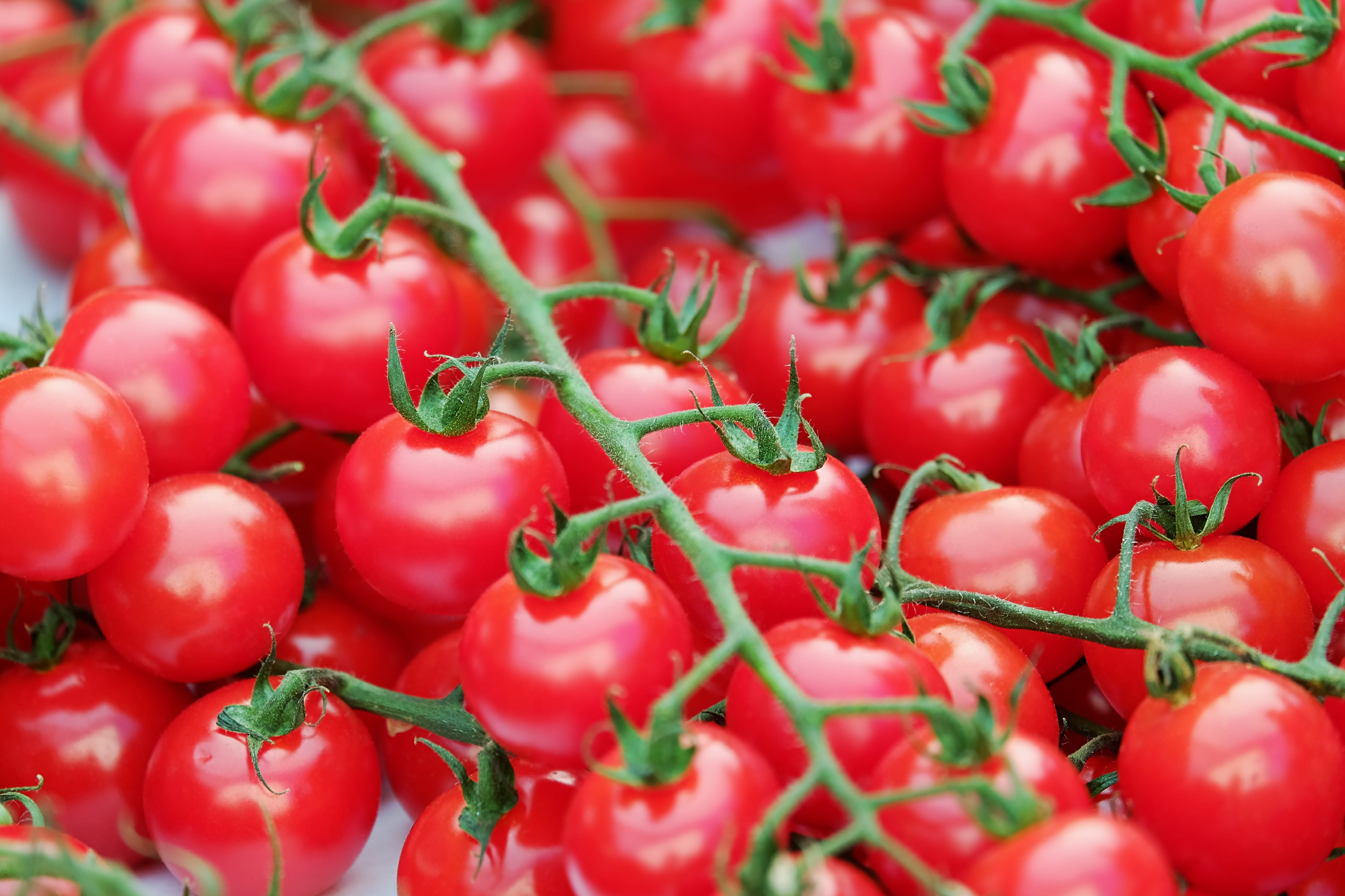 wellbeing, tomatoes, fruits, ripe, bush tomatoes, close-up, vegetable, backgrounds, red, still life, no people, large group of objects, for sale, healthy eating, HD Wallpaper
