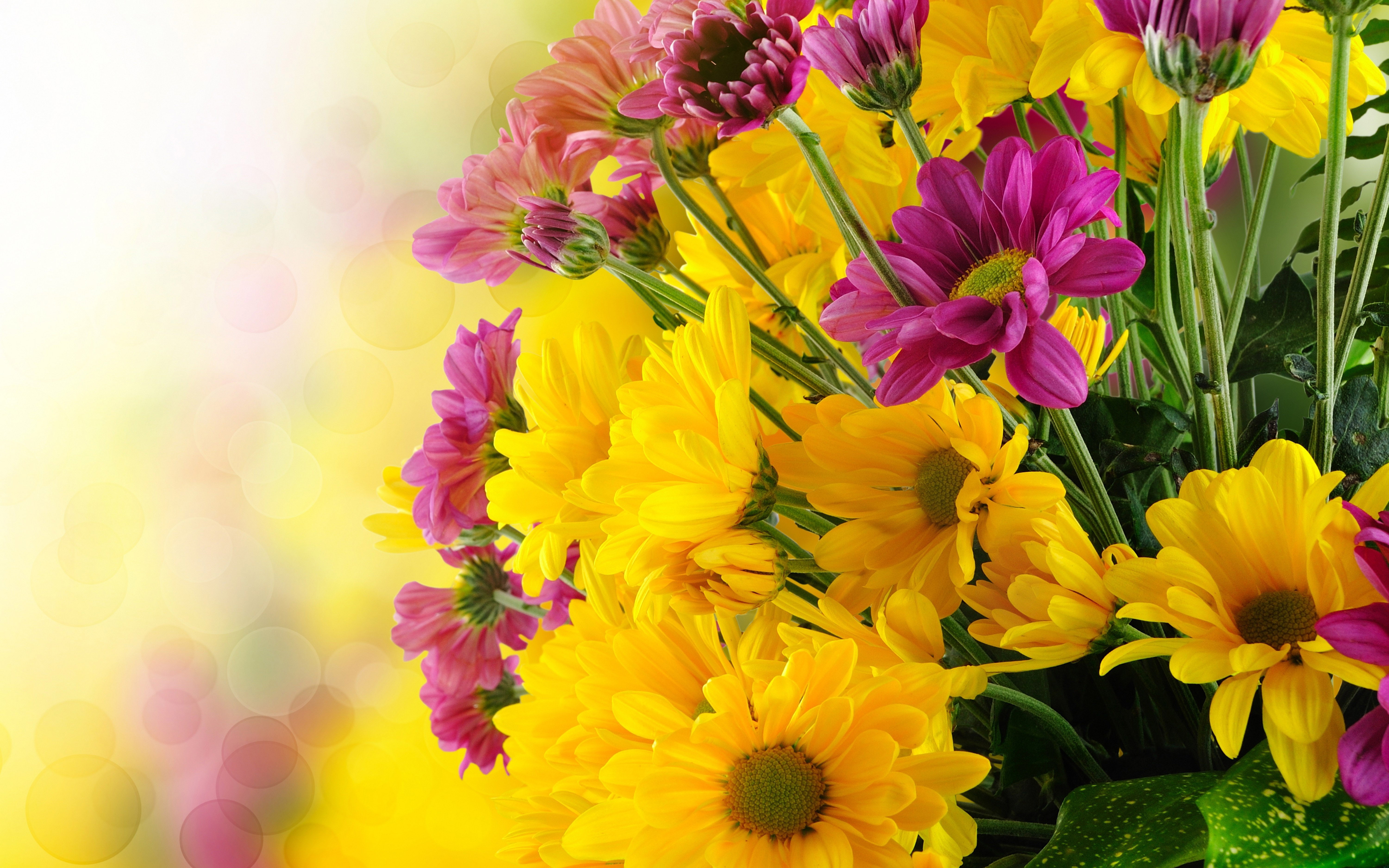 bouquet, purple, petals, 5K, phone, tablet, yellow, beautiful, computer, laptop, flower, flowers, mobile, hd, pictures, green, HD Wallpaper