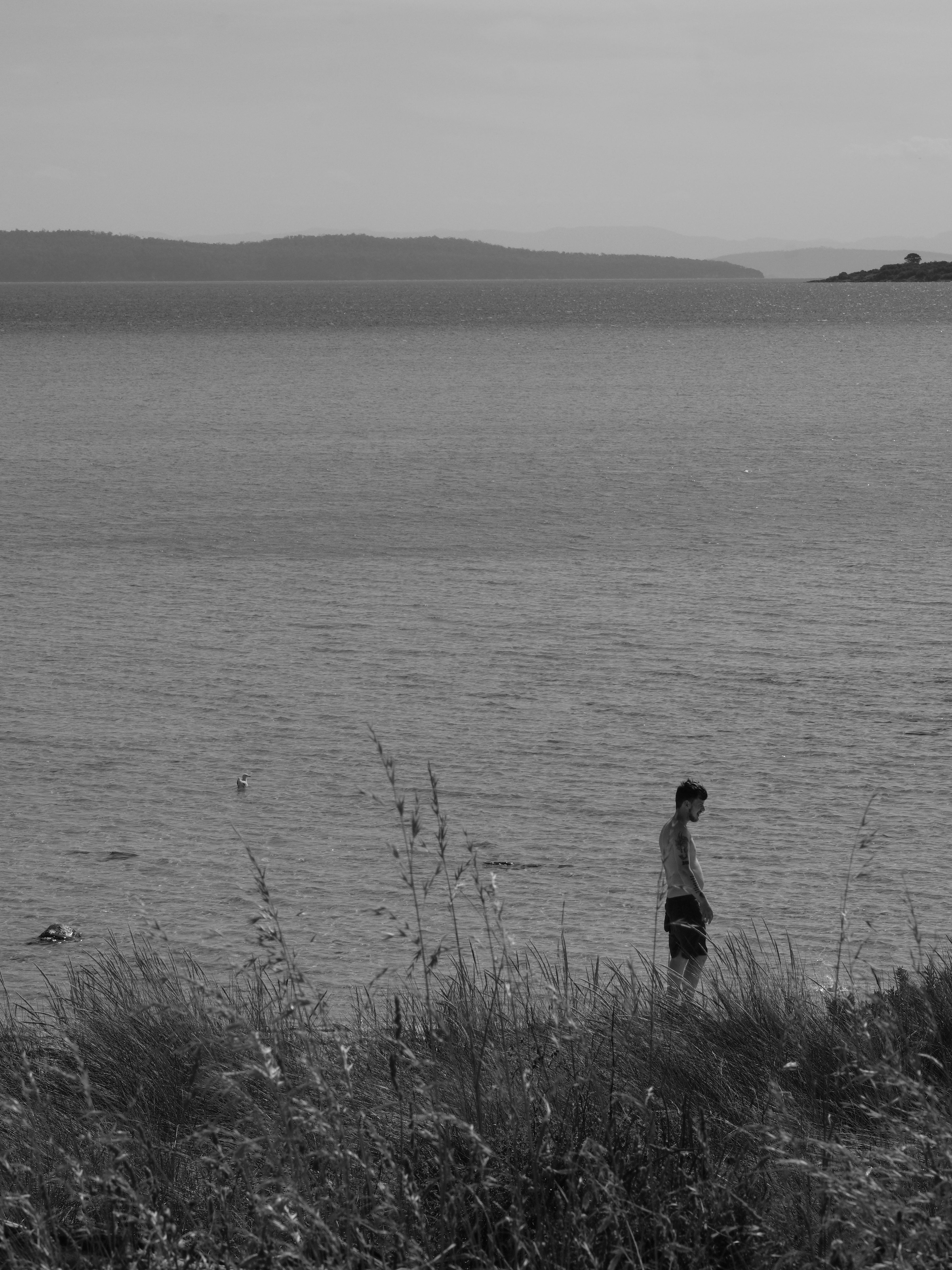 5K, standing, beauty in nature, monochrome, hobart, sea, water, grass, lifestyles, one person, sky, australia, day, mood, scenics - nature, person, looking at view, Phone HD Wallpaper