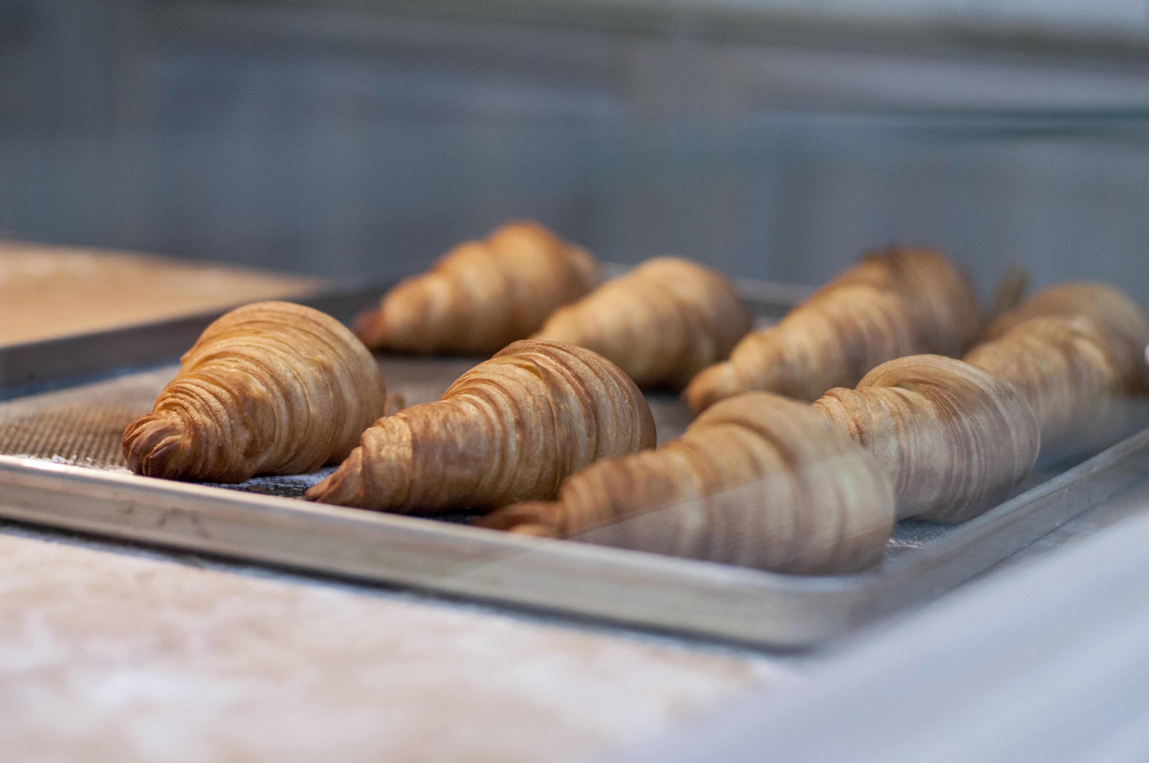 breakfast, tray, food, selective focus, seven, croissants, bread, bakery, baked, french food, pastries, still life, business, retail, snack, freshness, HD Wallpaper