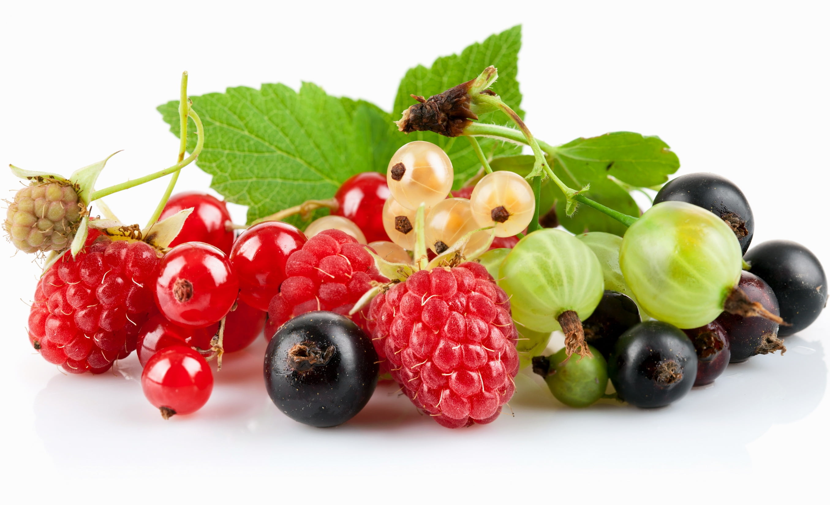 nature, eating, raspberries, food, red currant, wellbeing, fruit, dessert, pile, organic, close-up, gourmet, variation, white, branch, indoors, plant, leaf, HD Wallpaper