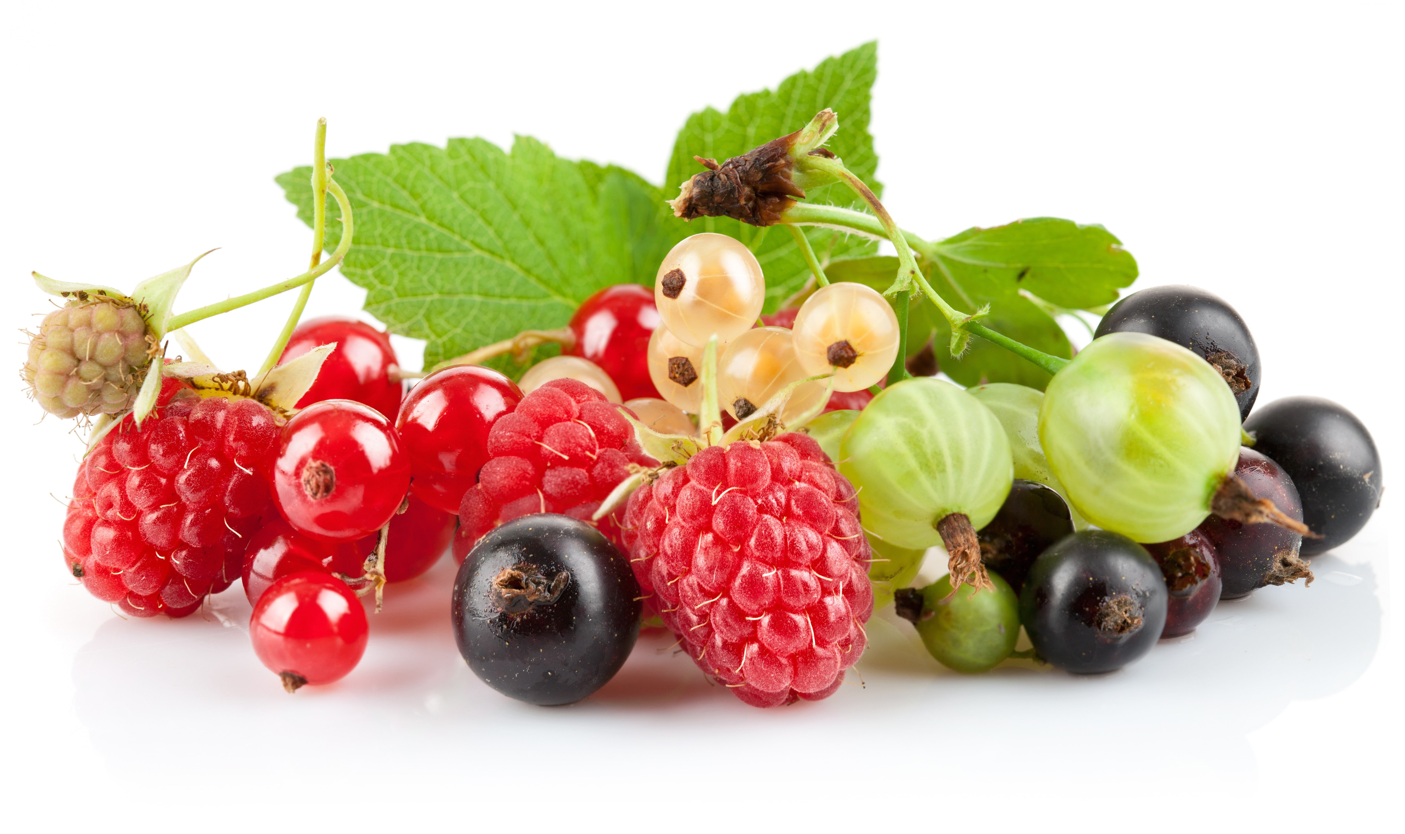 close-up, red, studio shot, food, ripe, snack, cut out, freshness, berries, indoors, large group of objects, grape, fruit, choice, still life, blueberries, HD Wallpaper