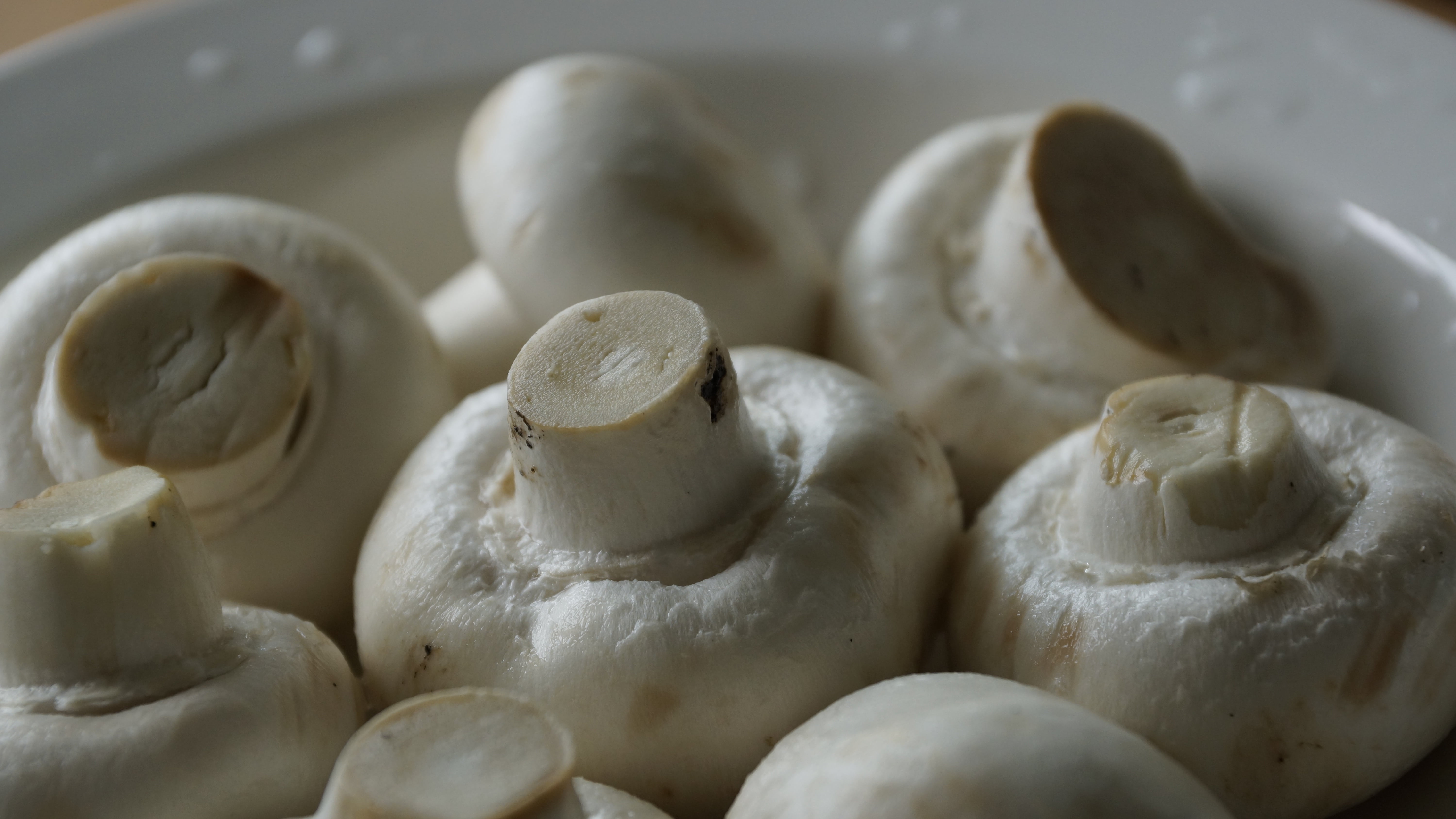healthy, mushroom, selective focus, food and drink, ceramics, raw food, white, kitchen, indoors, vitamins, cooking, plate, no people, agaricus, wellbeing, HD Wallpaper