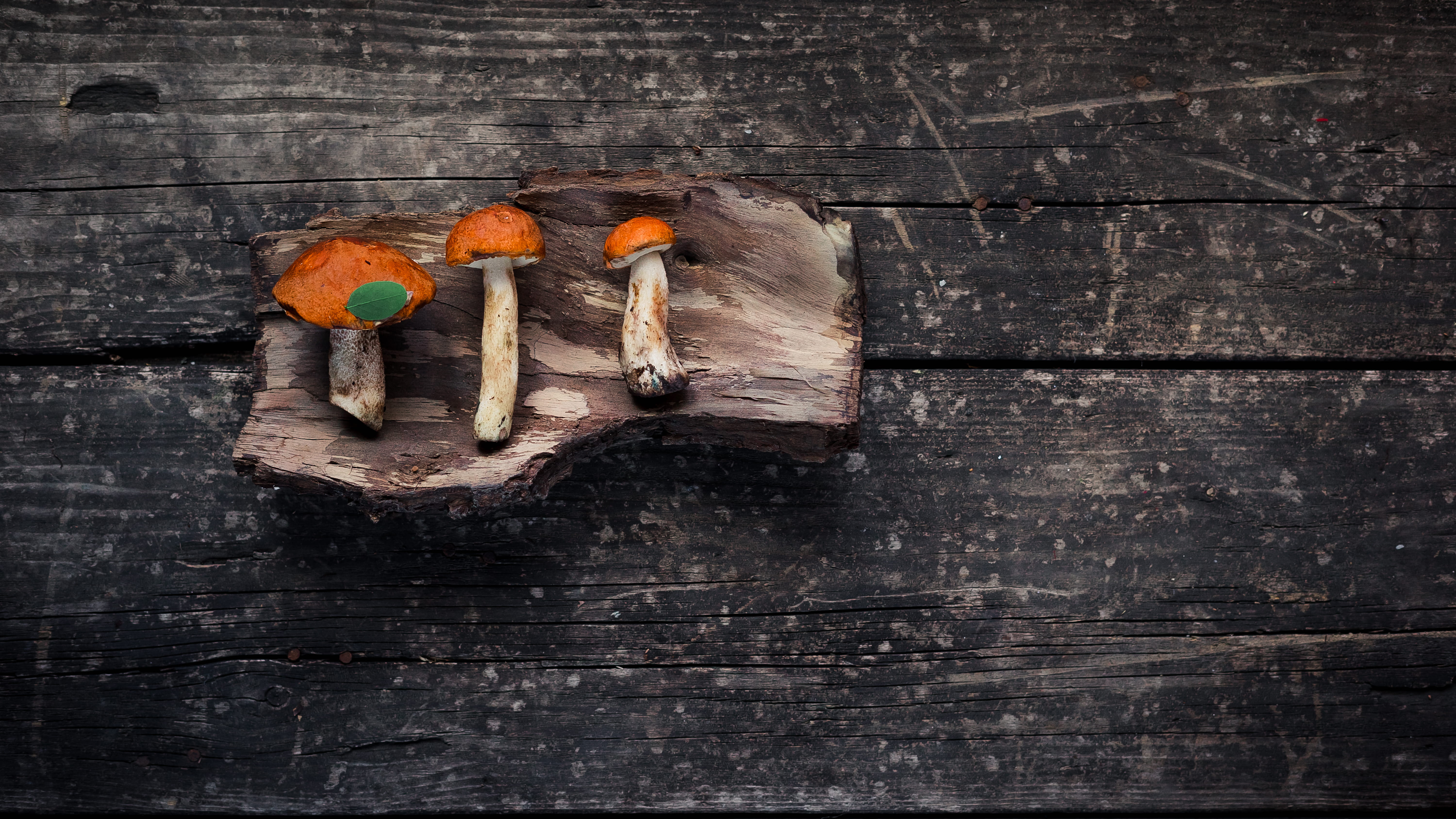 mushrooms, food, dark, soil, 5K, old, red, fungi, log, mushroom, retro Styled, agaricu, cooking, backgrounds, organic, yellow, dirt, wood, dirty, closeup, HD Wallpaper