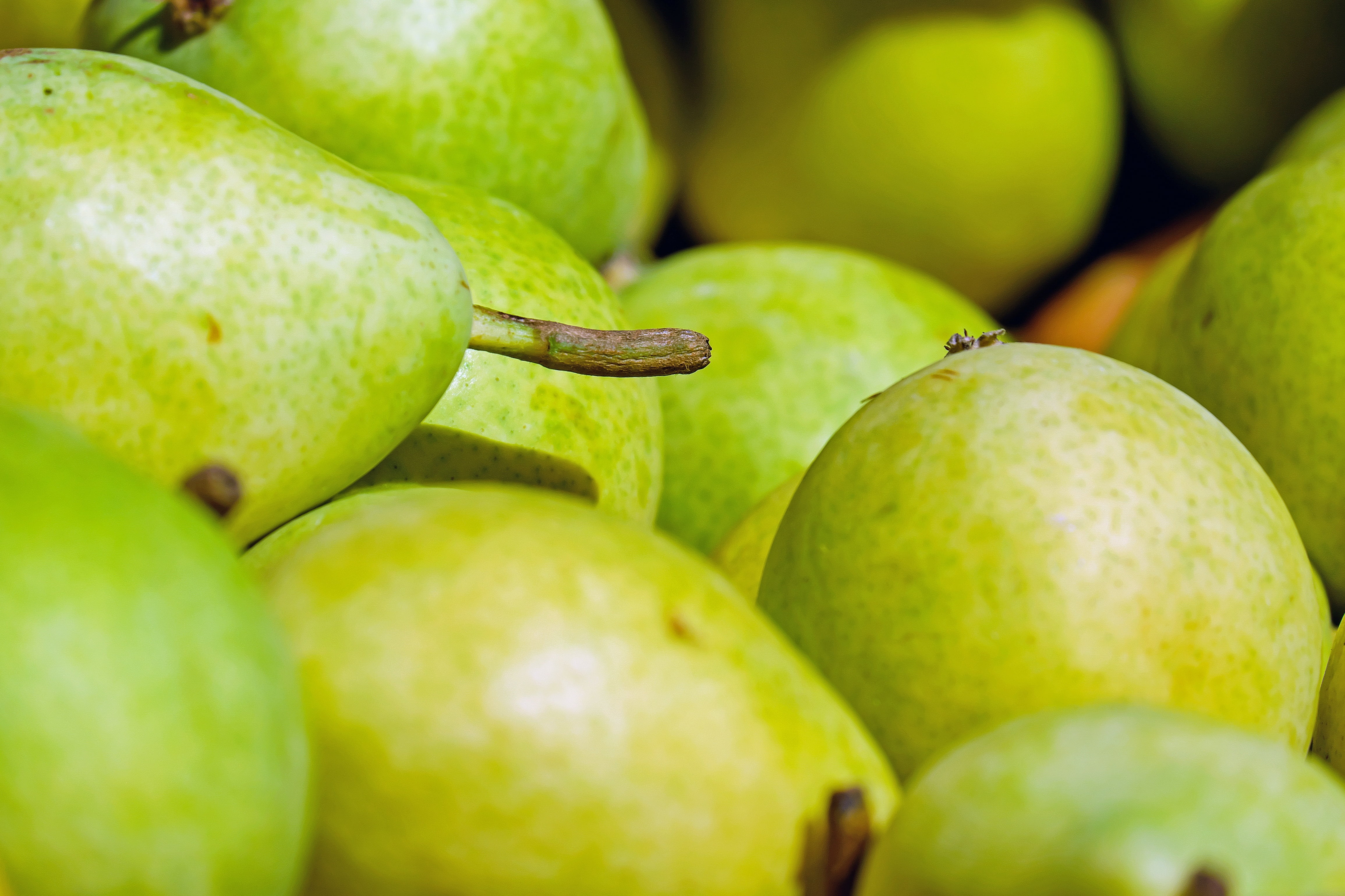 full frame, vegetarian food, harvest, ripe, freshness, large group of objects, 4K, abundance, no people, green color, backgrounds, lot, retail, food, group of objects, HD Wallpaper