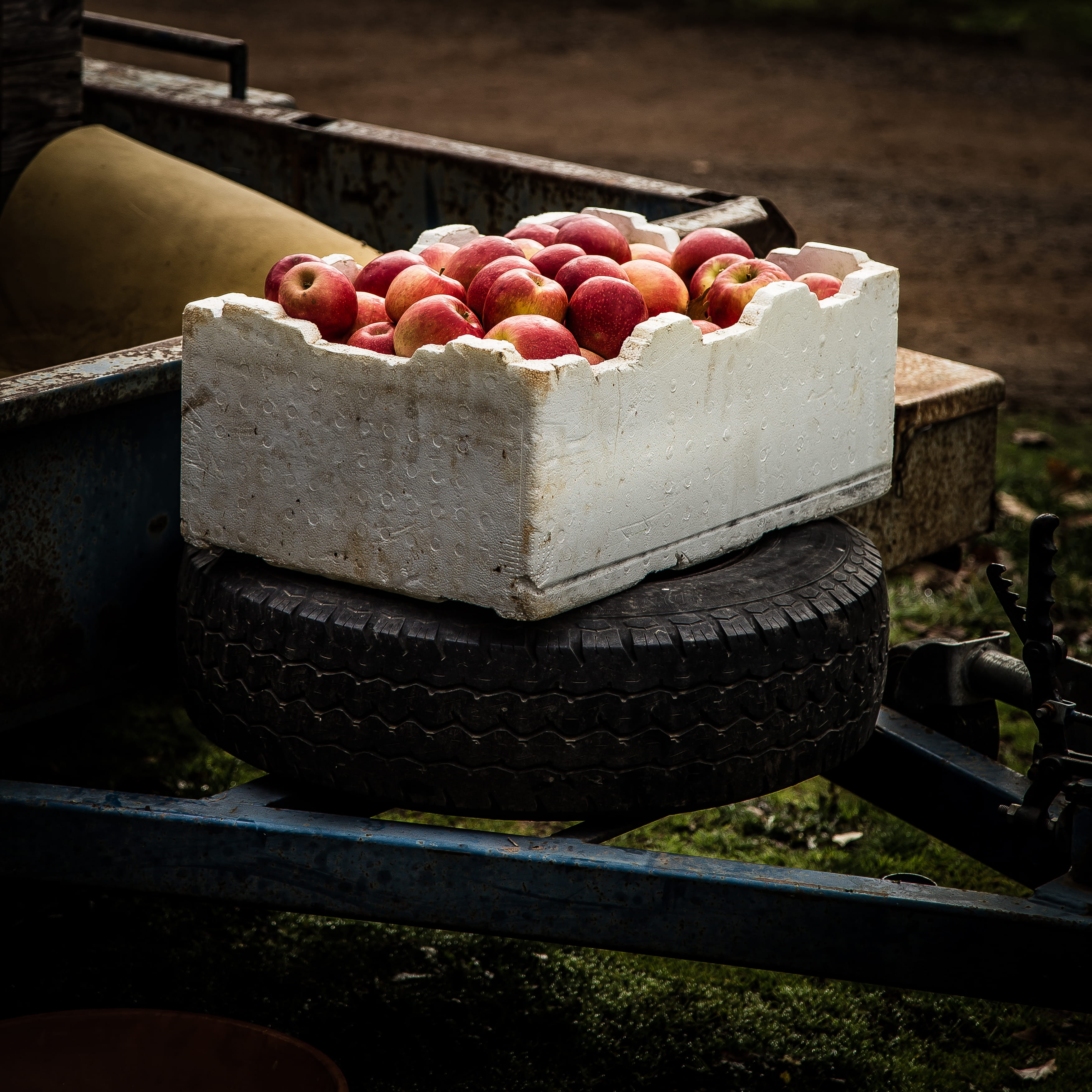 fruits, tire, freshness, container, wellbeing, auto, wood - material, red apple, apples, 2K, close-up, box, agriculture, tyre, white box, inside, ripe, Phone HD Wallpaper