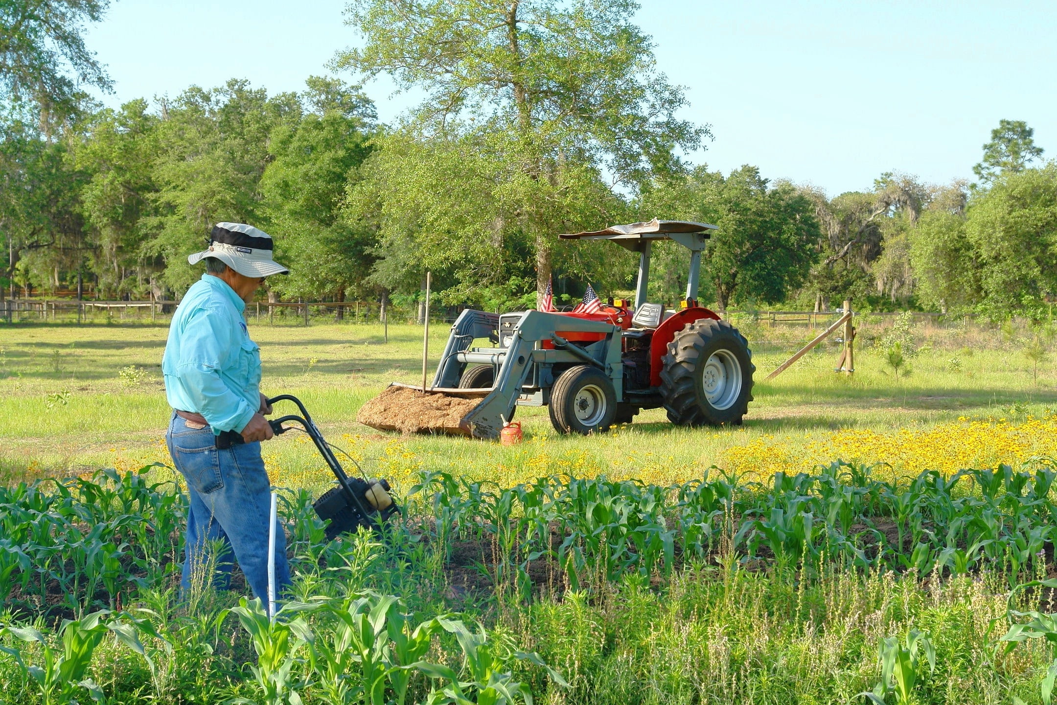 men, grass, field, countryside, tree, mode of transportation, manual Worker, farm, land vehicle, gardening, farm worker, machinery, crop, spring, people, HD Wallpaper