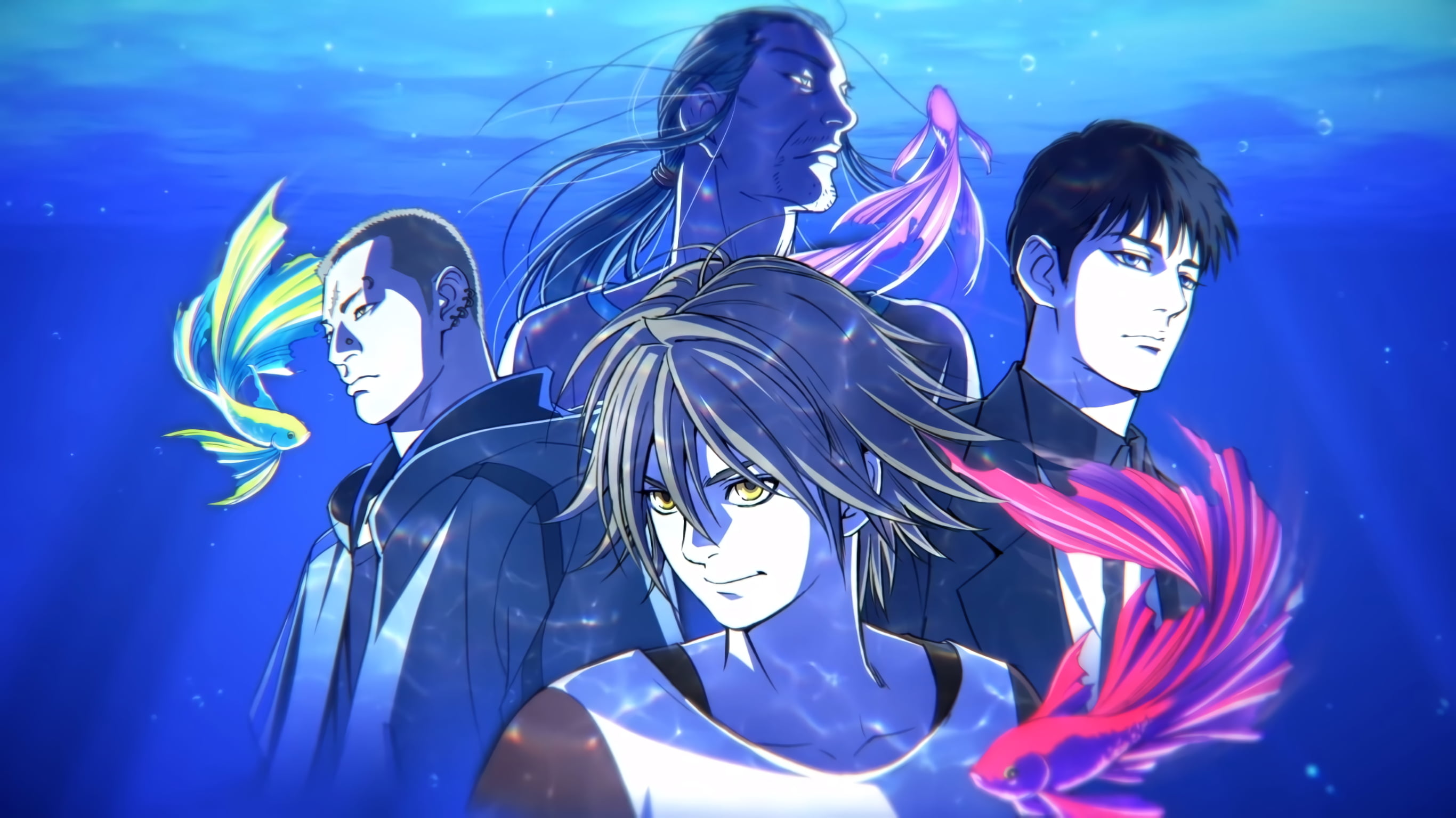 2K, Pet, Anime, HD Wallpaper
