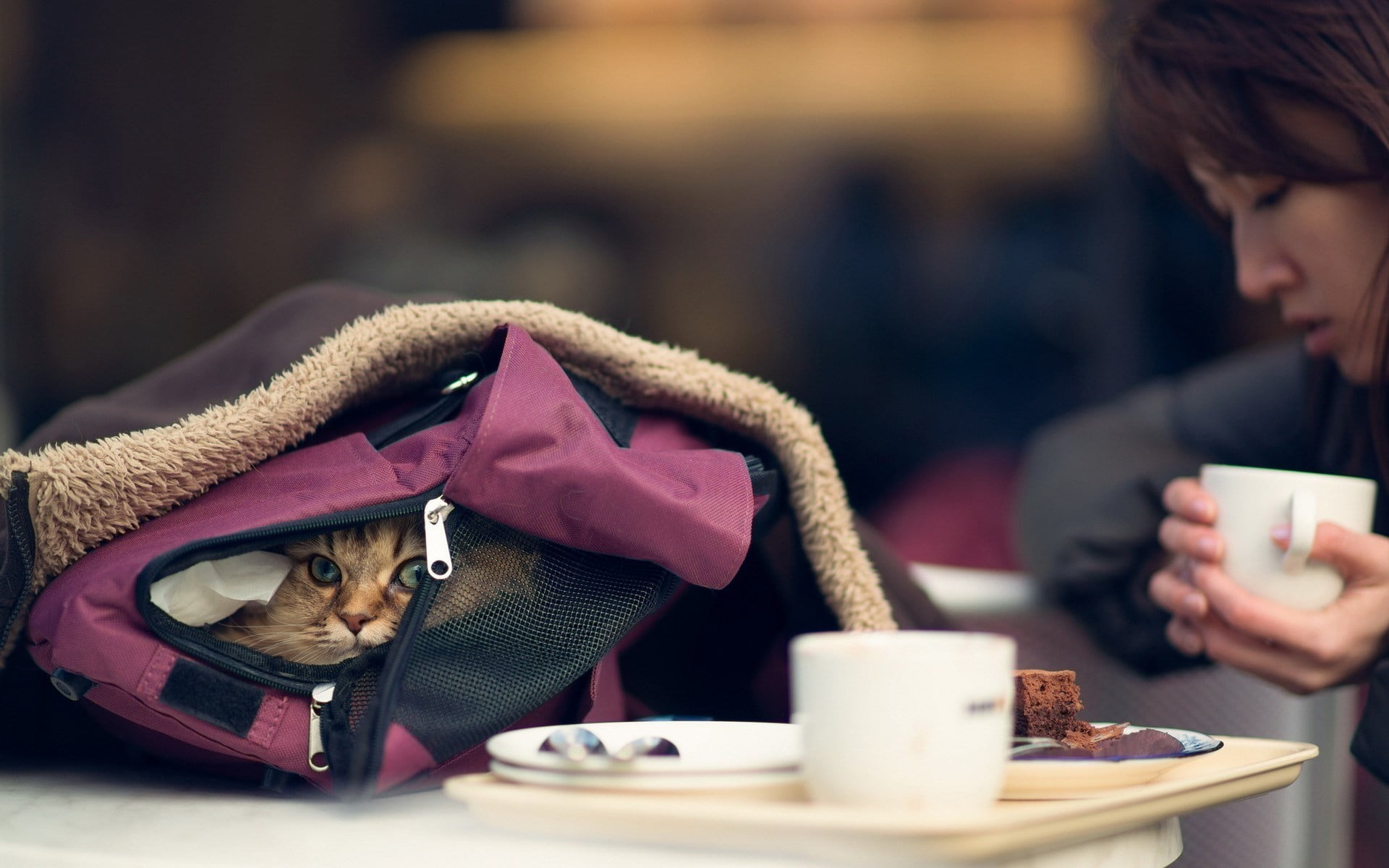 cafe, adult, Ben Torode, technology, food and drink, people, cat, depth of field, table, drink, focus on foreground, coffee - drink, coffee, 1080P, drinking, HD Wallpaper