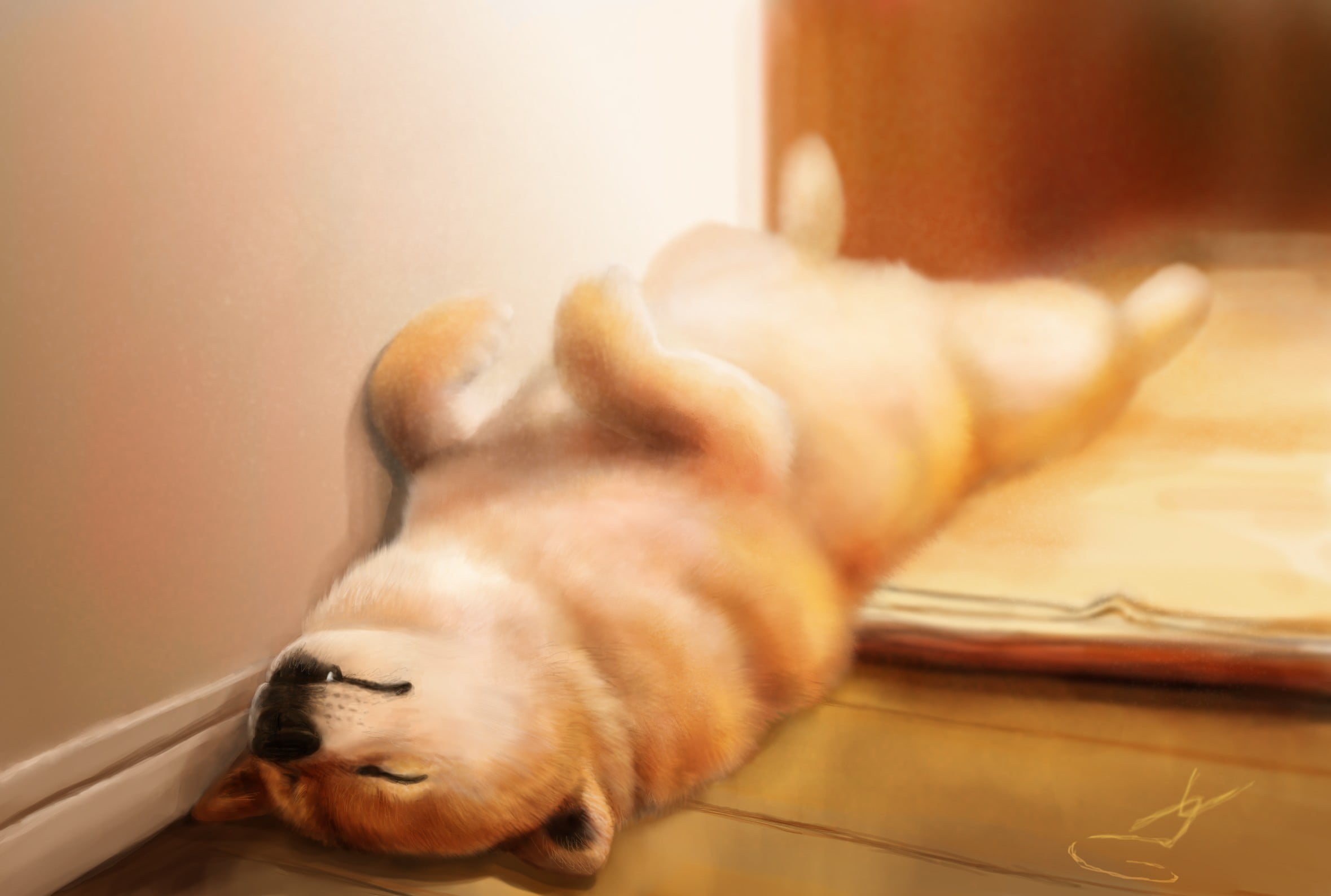 resting, one animal, pembroke, sleeping, domestic animals, no people, canine, mammal, art, close-up, sleep, corgi, adult, eyes closed, feline, on the floor, HD Wallpaper
