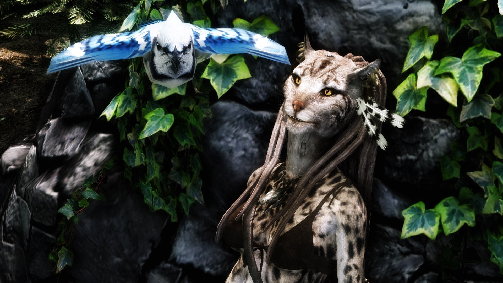 mammal, Khajiit, 1080P, nature, vertebrate, forest, outdoors, one animal, plant, animal themes, day, tree, no people, animal, animals in the wild, rock, HD Wallpaper