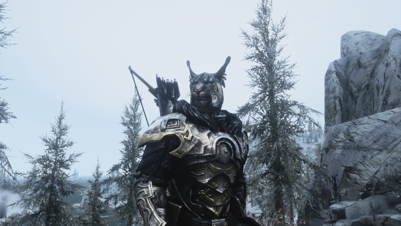 The Elder Scrolls V: Skyrim, Khajiit, 720P, HD Wallpaper