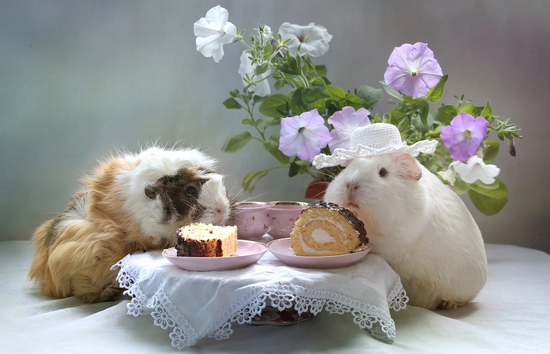 cake, flowers, 1080P, Guinea pig, HD Wallpaper