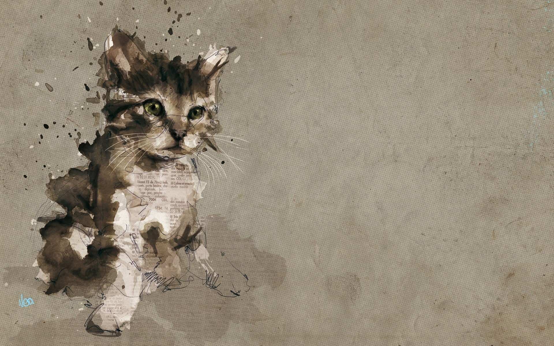 splatter, paint splatter, 1920x1200, cat, paint, kitten, painting, paper, 1080P, HD Wallpaper