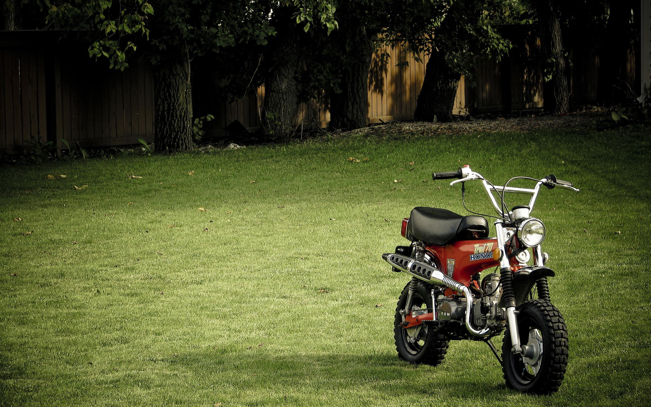 bike, red, 2K, black, mini, 2560x1600, honda, trail, motorcycles, dachshund, st-series, trail 70, HD Wallpaper