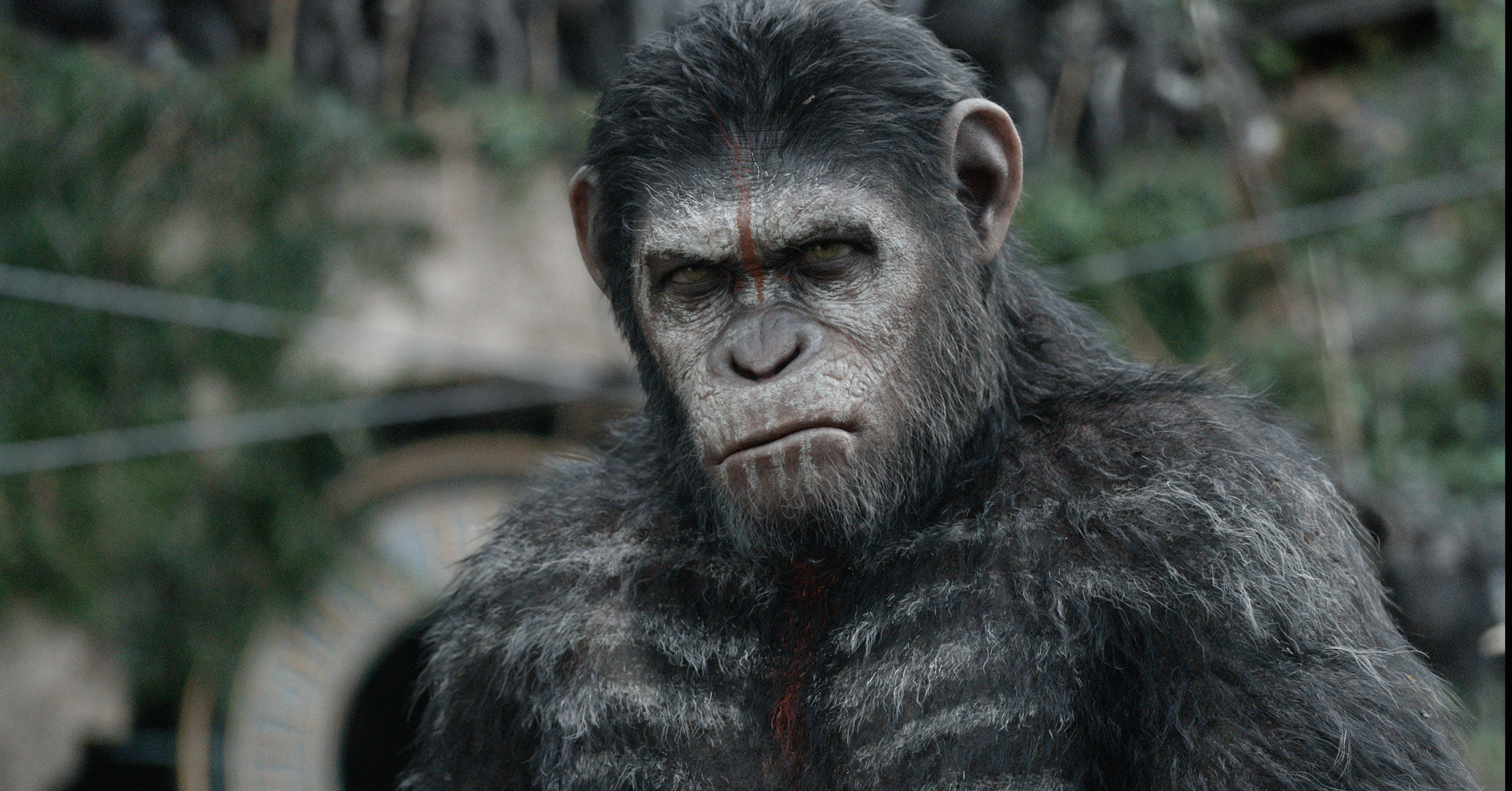 4K, dawn of the planet of the apes, HD Wallpaper