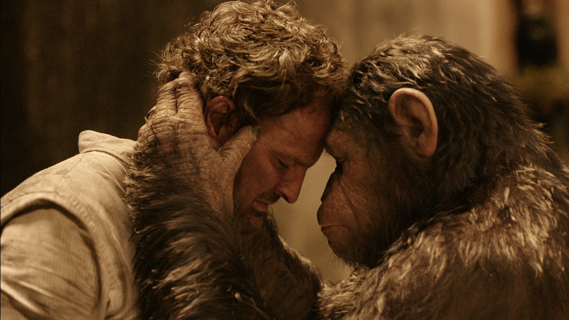 action, apes, dawn, sci fi, dawn of the apes, adventure, 1080P, planet, drama, monkey, HD Wallpaper