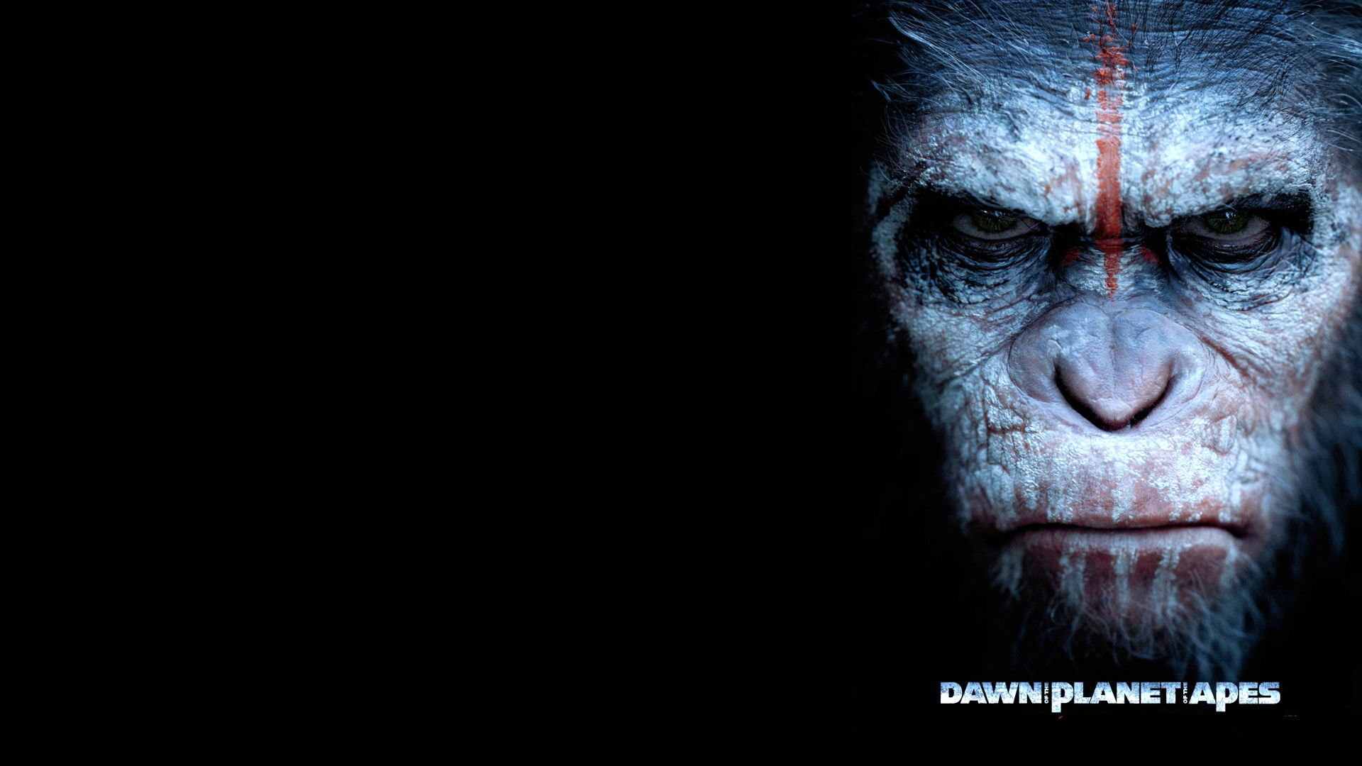 dawn, monkey, apes, drama, adventure, dawn of the apes, planet, 1080P, action, sci fi, HD Wallpaper