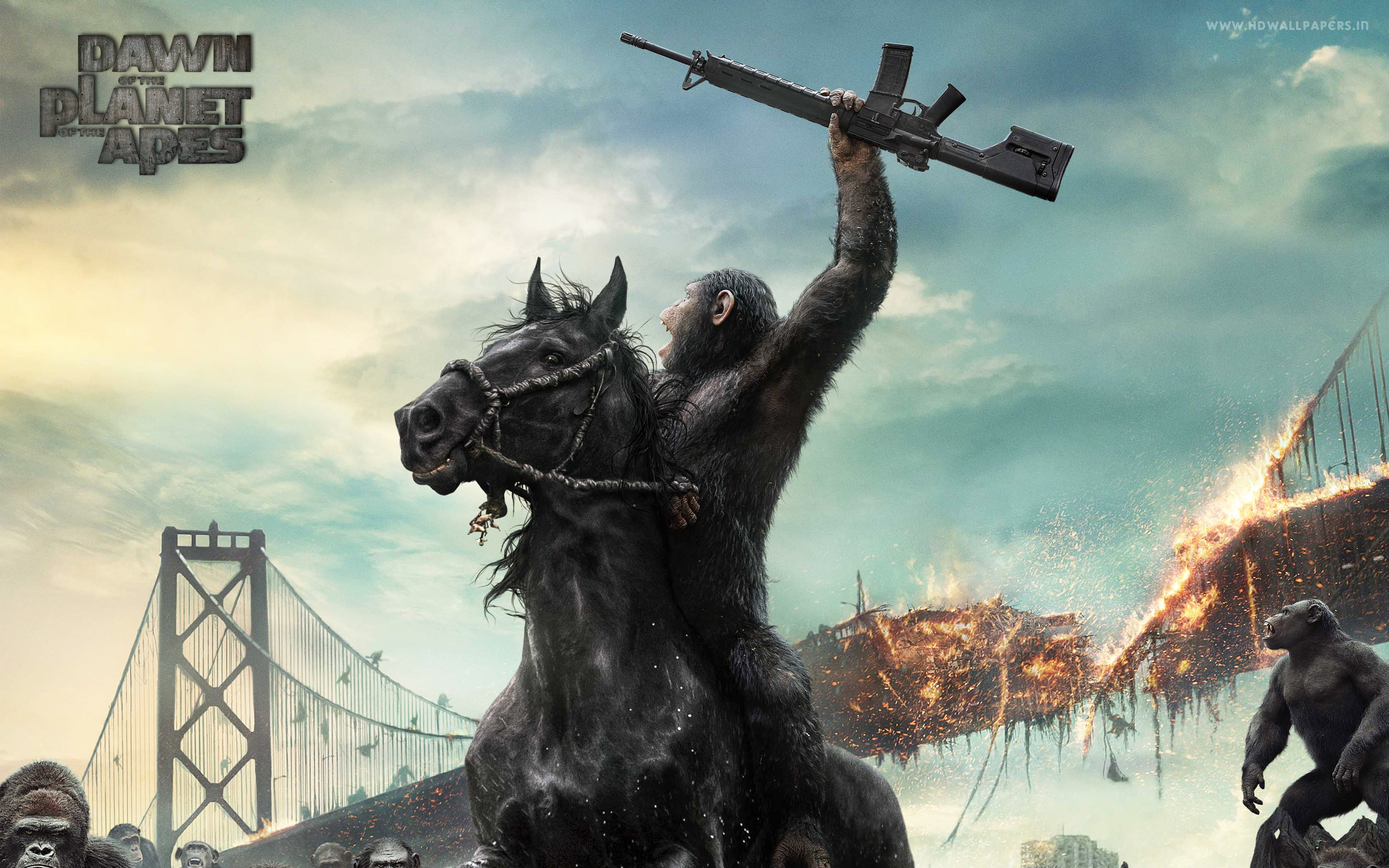 Dawn, Movie, Apes, Planet, 2K, HD Wallpaper