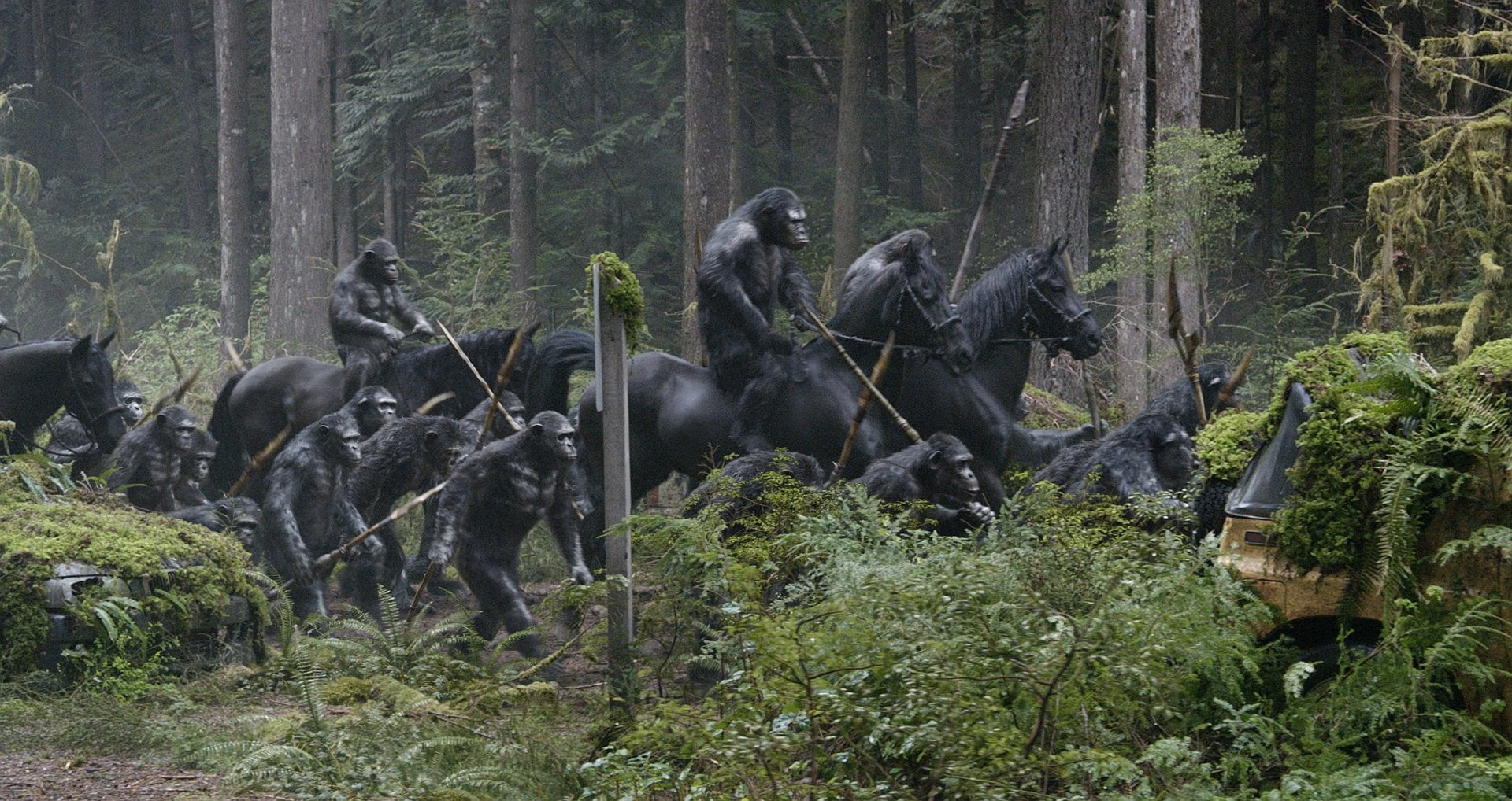 no people, Dawn of the Planet of the Apes, herbivorous, forest, medium group of animals, tree, nature, animal themes, outdoors, group of animals, vertebrate, HD Wallpaper