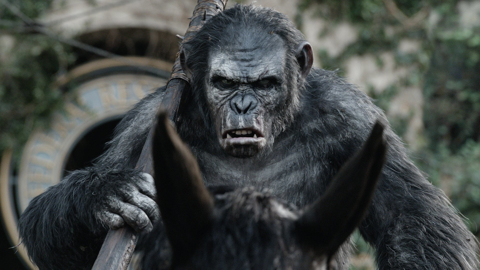 Dawn of the Planet of the Apes, Movie, 1080P, HD Wallpaper