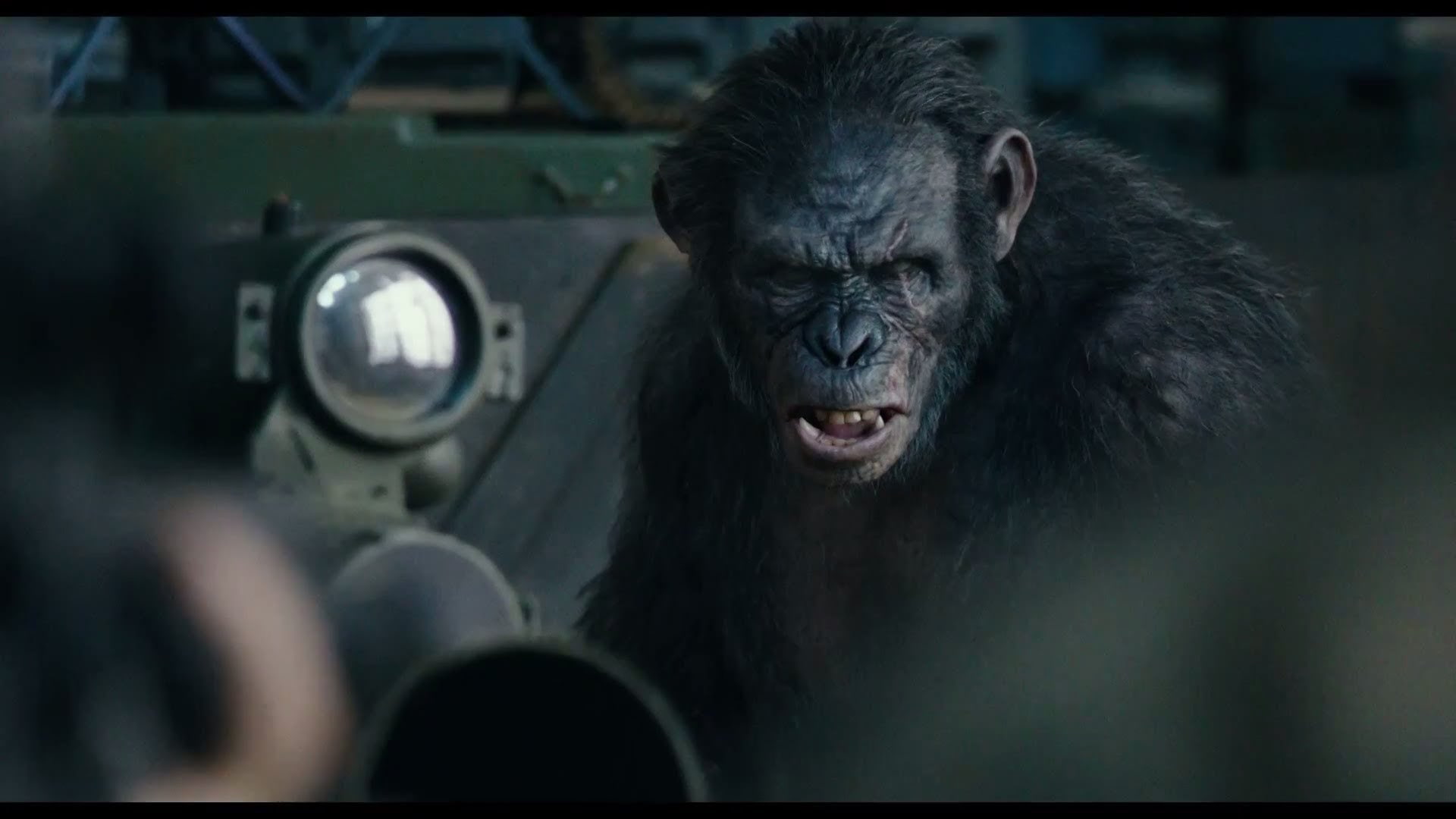 1080P, Dawn of the Planet of the Apes, Movie, HD Wallpaper