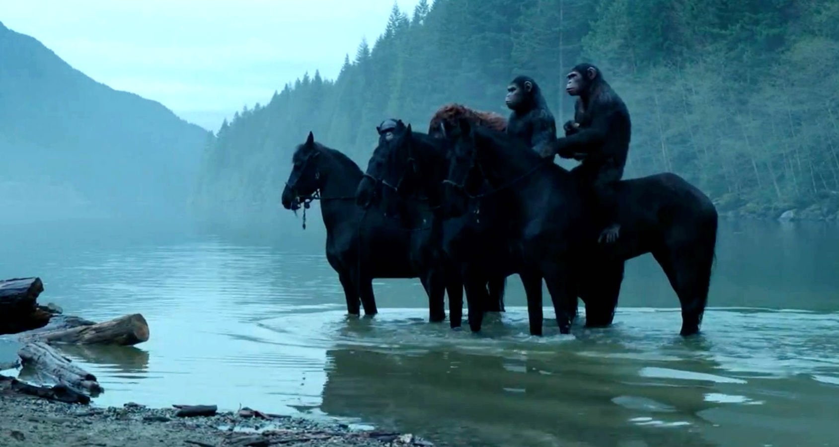 apes, dawn, planet, action, monkey, drama, 720P, dawn of the apes, sci fi, adventure, HD Wallpaper