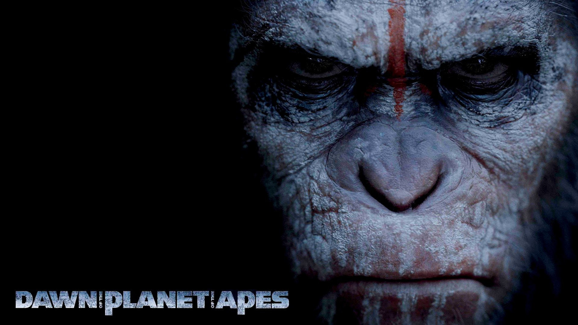 drama, monkey, dawn, apes, 1080P, action, sci fi, dawn of the apes, adventure, planet, HD Wallpaper