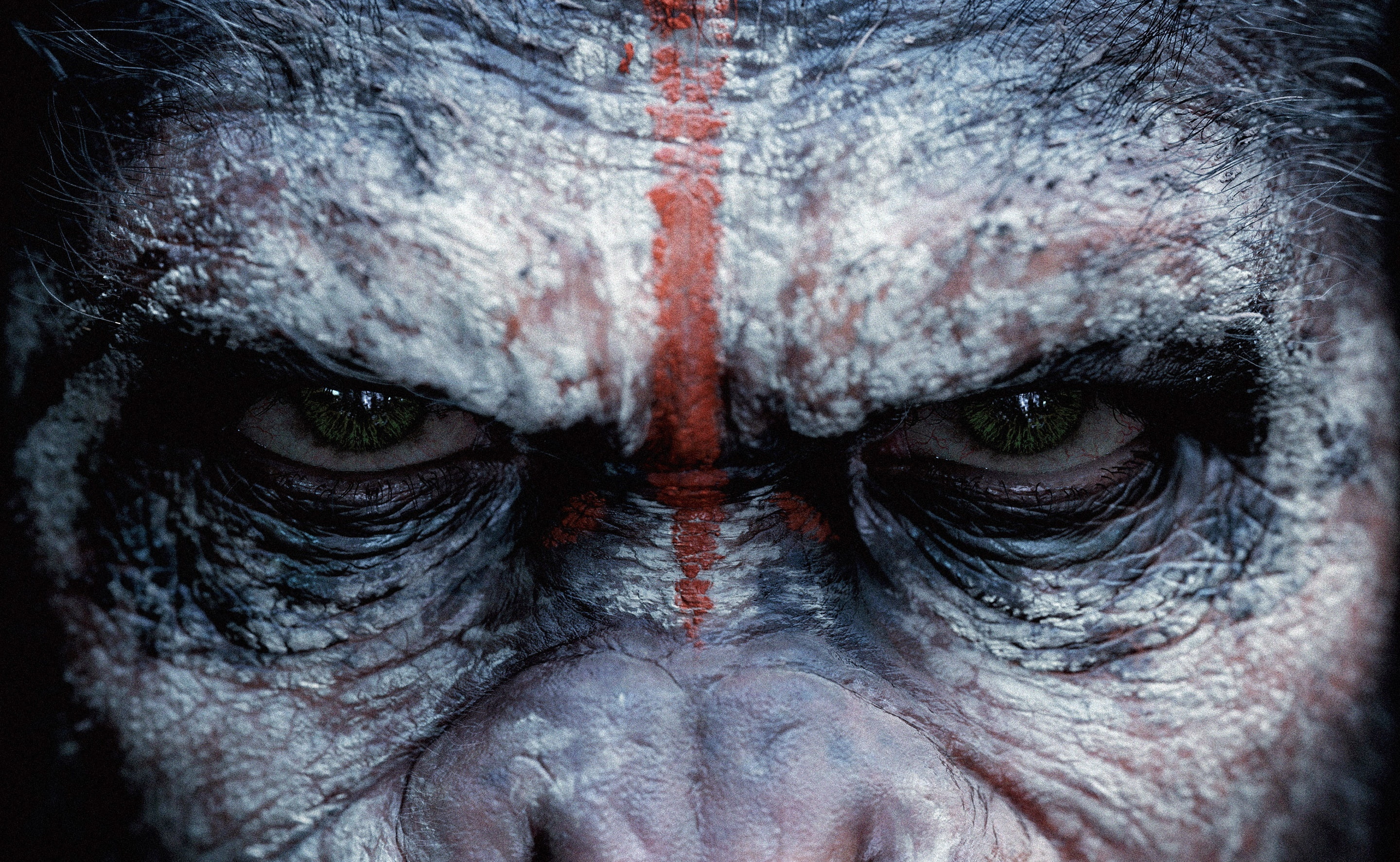 looking at camera, portrait, people, apes, animal body part, creature, human body part, human face, body part, planet, 2014, Koba, caesar, Movies, human eye, HD Wallpaper