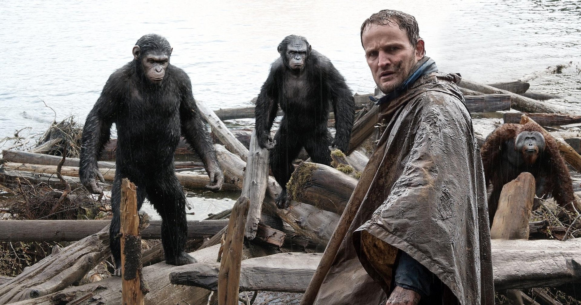 Movie, Dawn of the Planet of the Apes, 1080P, HD Wallpaper