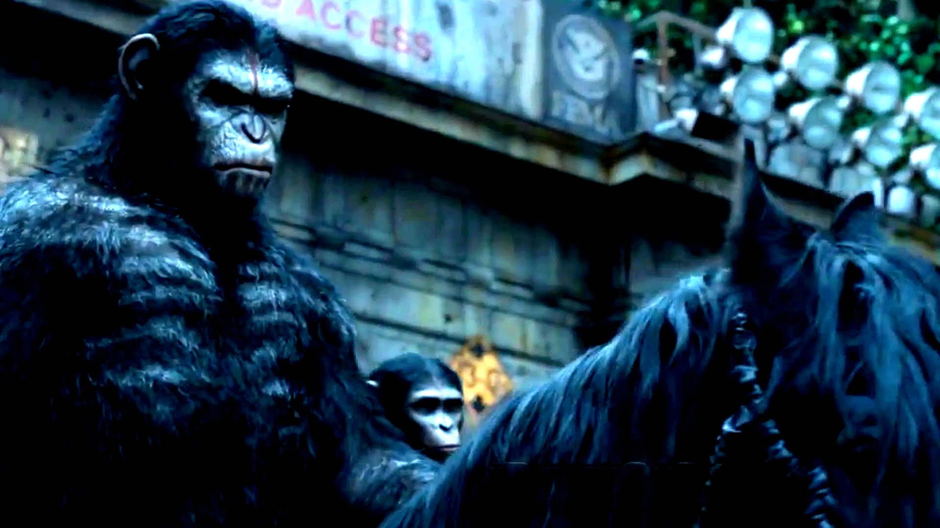 dawn of the apes, adventure, planet, sci fi, action, monkey, apes, drama, 1080P, dawn, HD Wallpaper