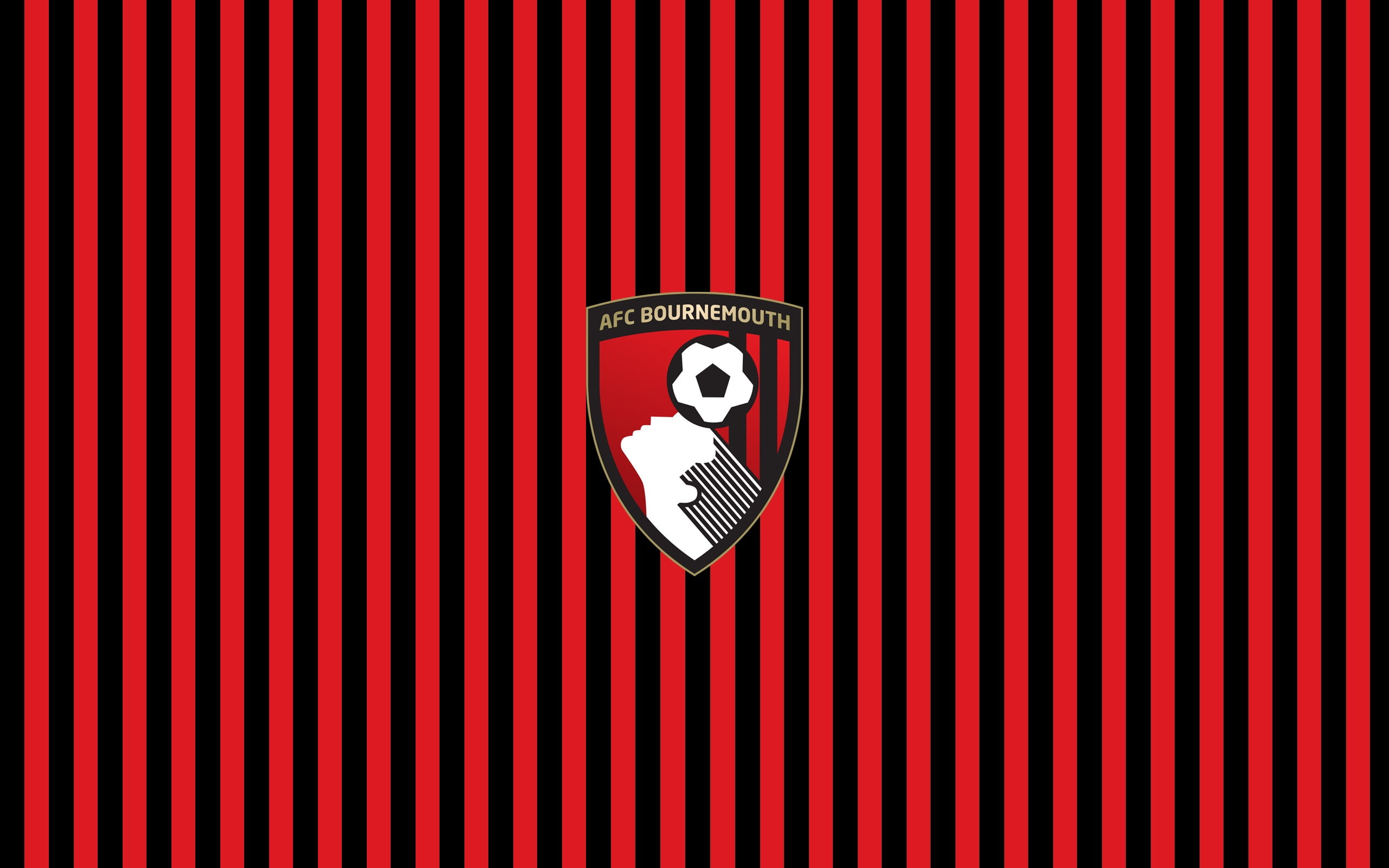 indoors, security, pattern, trapped, football, european, safety, no people, 2K, afc, communication, striped, sign, white color, bournemouth, full frame, HD Wallpaper