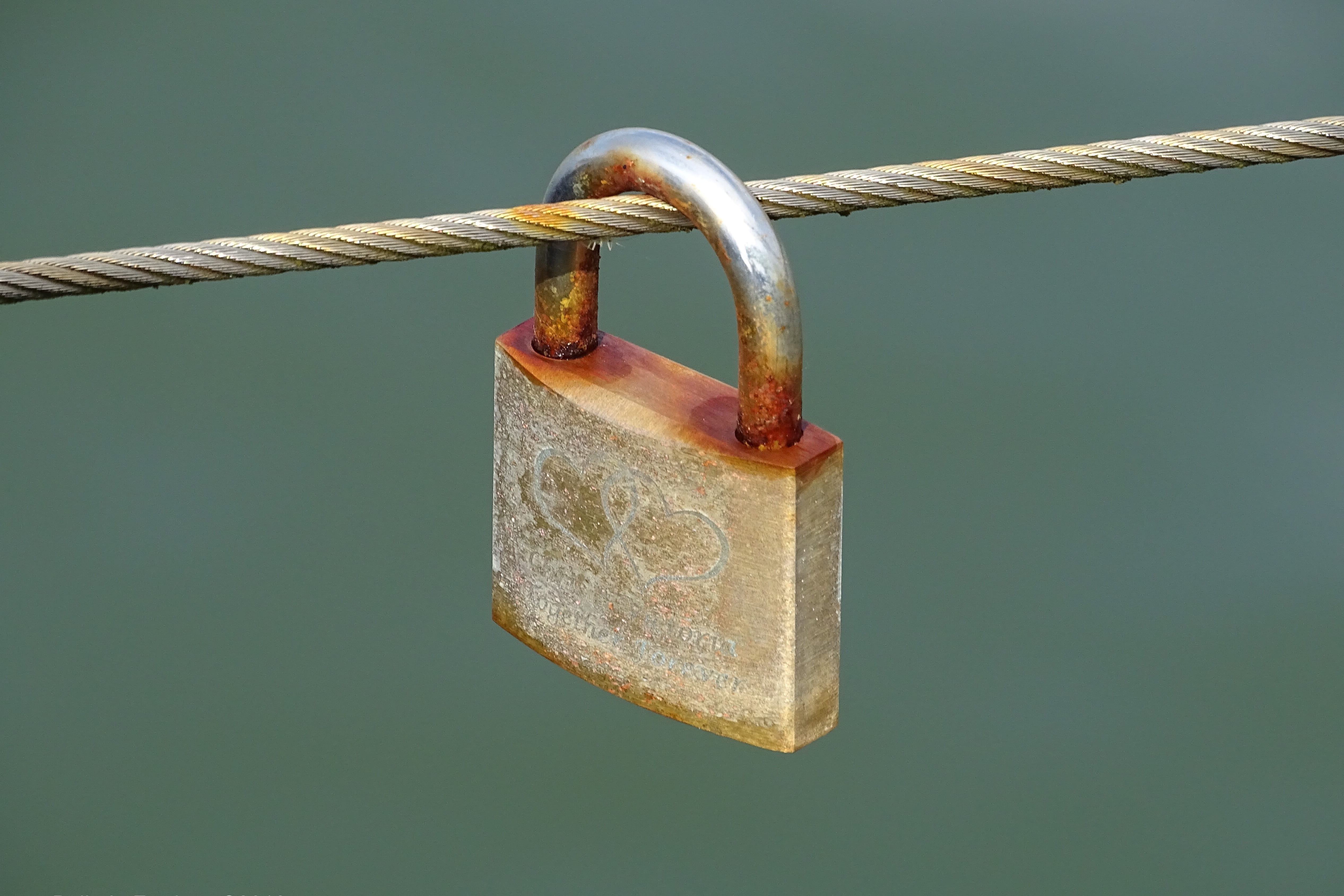 love lock, wire, seaside, rusty, protection, hanging, locked, safety, sea, lock, focus on foreground, rope, rust, hope - concept, security, metal, 4K, HD Wallpaper