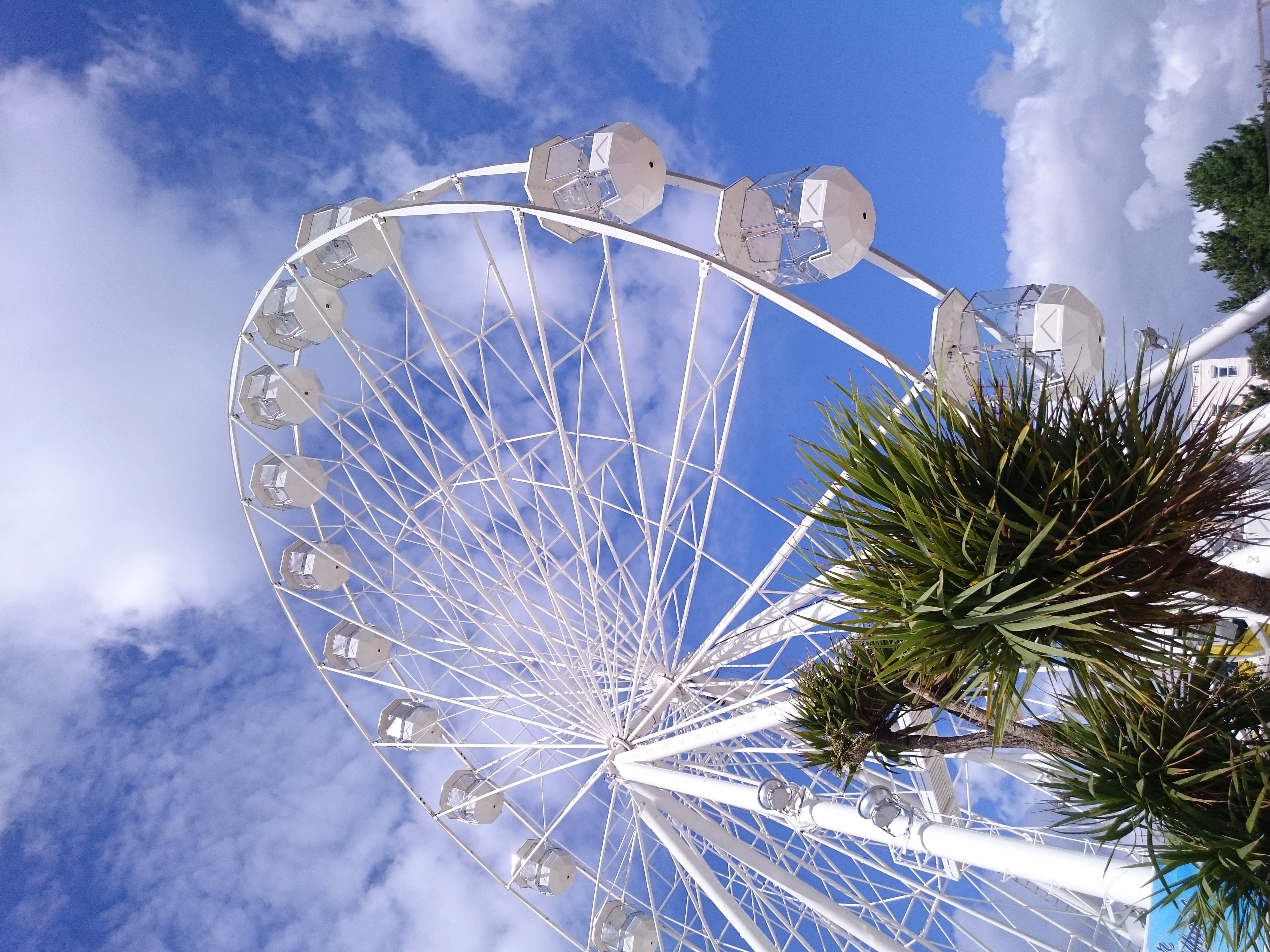 architecture, blue, palm, outdoors, wheel, built structure, amusement park ride, 4K, ferris wheel, palm tree, tropical climate, big wheel, cloud - sky, HD Wallpaper