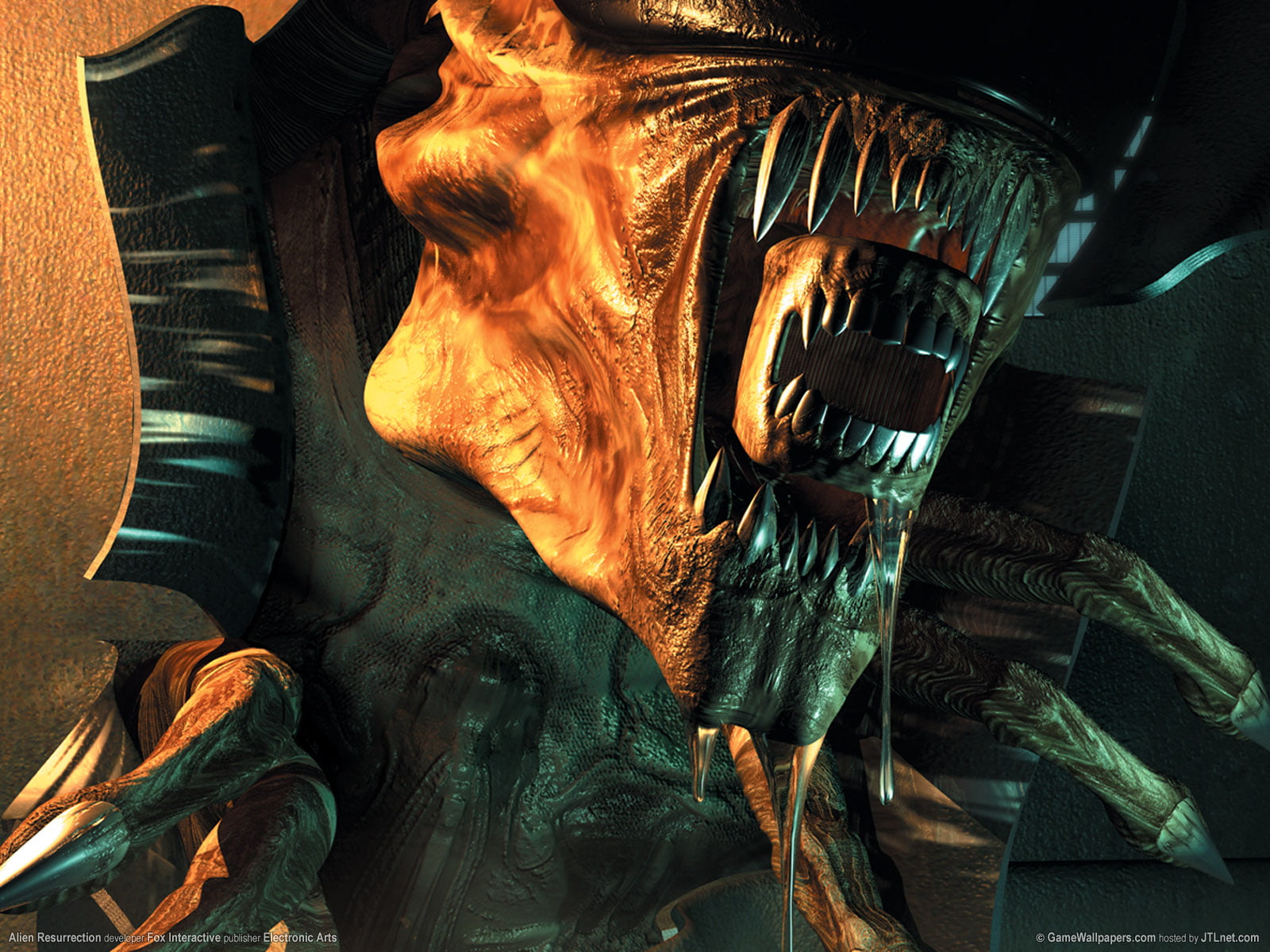 alien, day, nature, close-up, violence, aliens, midsection, animal wildlife, anger, representation, aggression, sci fi, horror, indoors, no people, 720P, HD Wallpaper