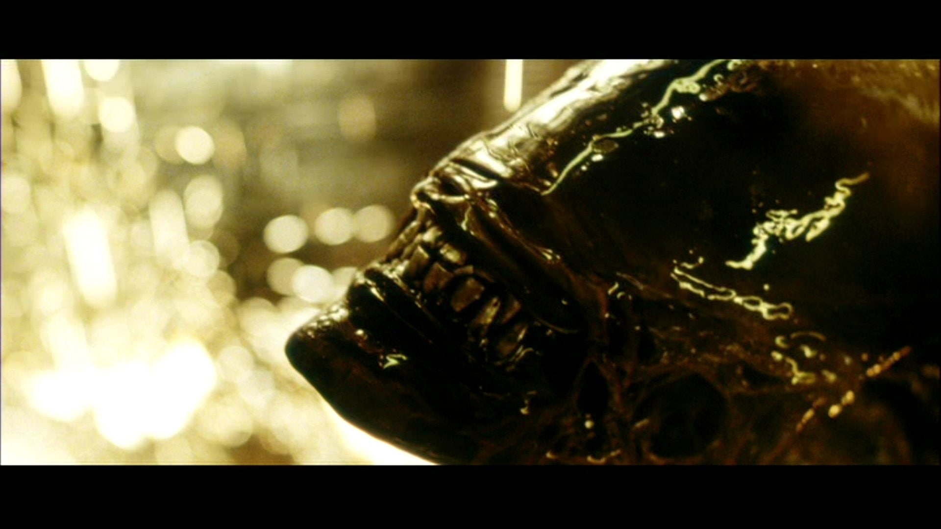 1080P, Alien, Movie, Alien: Resurrection, HD Wallpaper