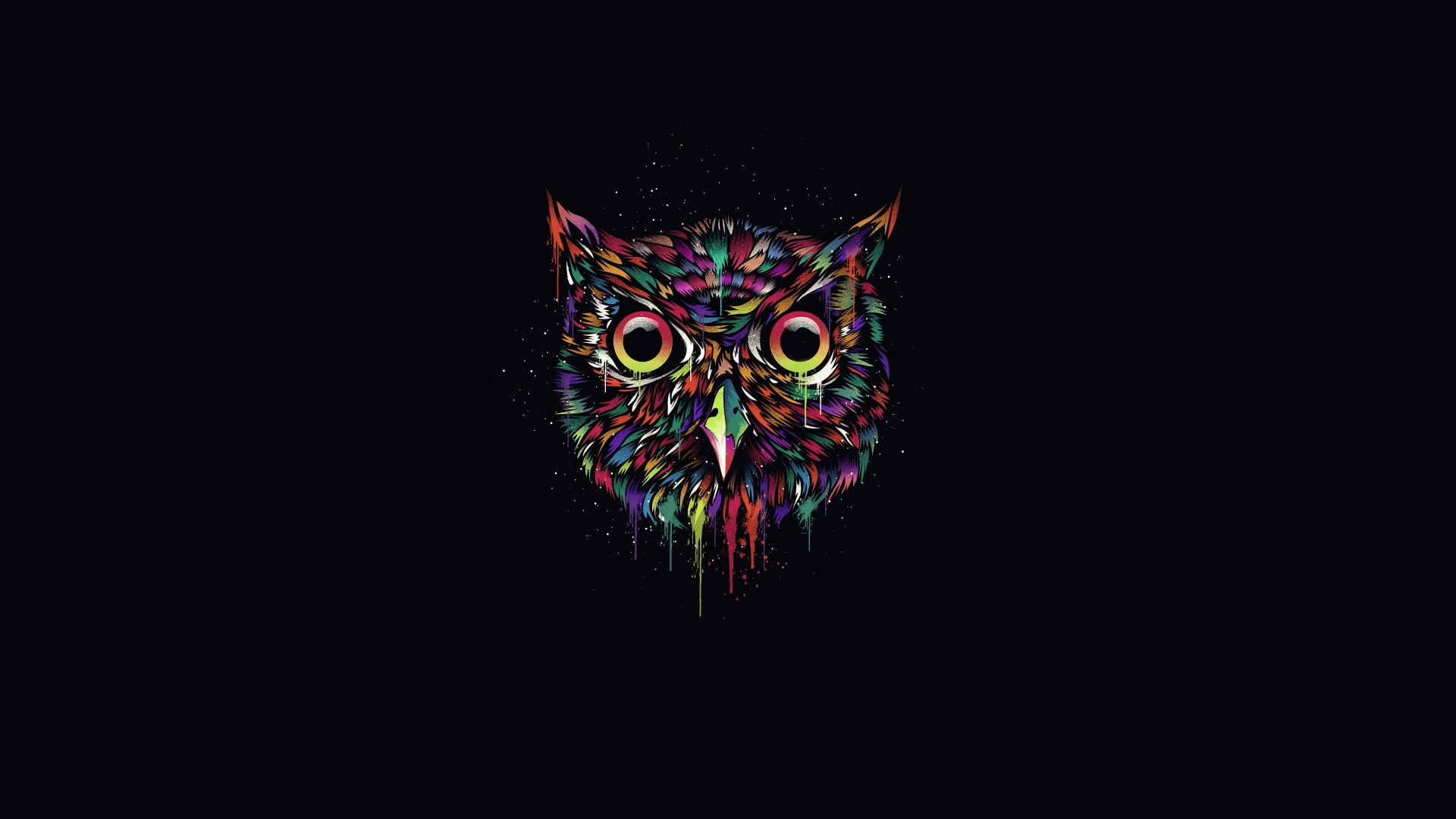 colorful, bird, black, bufnita, minimalistic, pasare, 1080P, Owl, HD Wallpaper