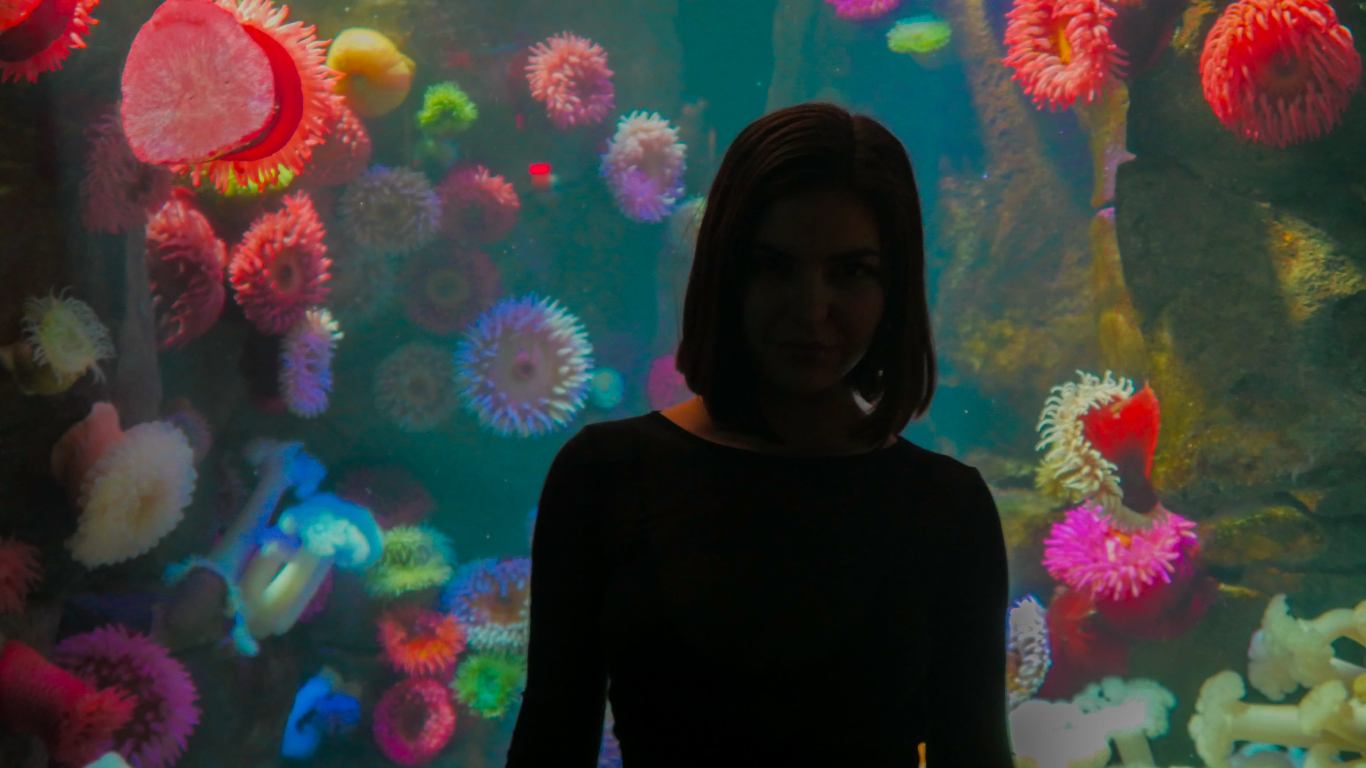waist up, toronto lifestyle, ocean, standing, leisure activity, sea, toronto, water, one person, marine, lake, aquarium, front view, lifestyles, HD Wallpaper