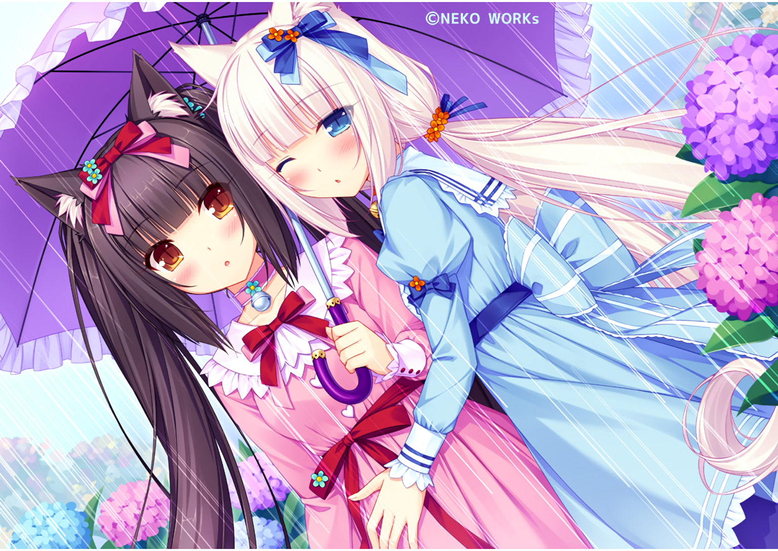 Anime, one person, looking at camera, pink color, women, child, purple, nekopara, sayori, childhood, headshot, lifestyles, young women, visual novel, females, HD Wallpaper