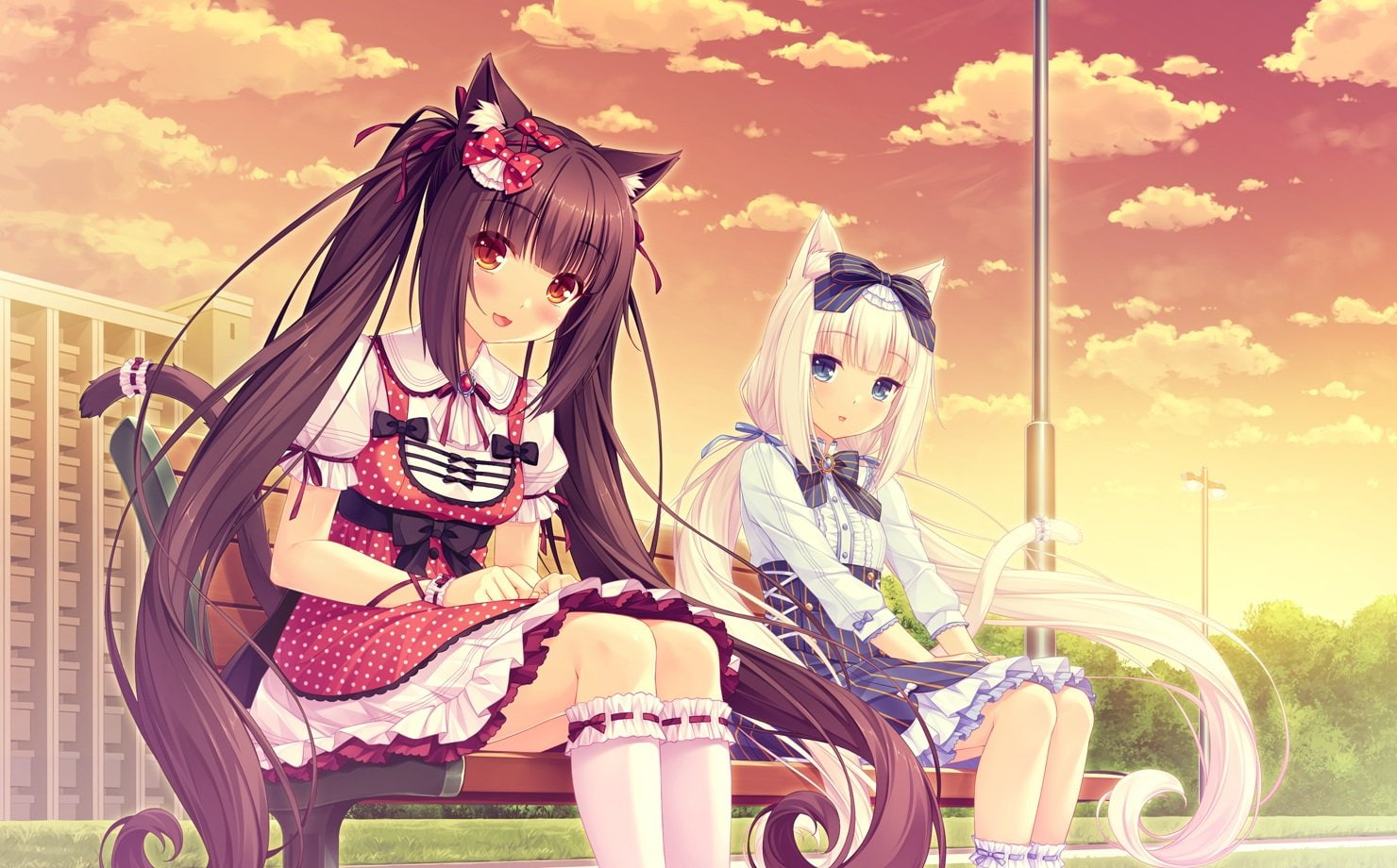 sayori, (sayori), vanilla, nekopara, 720P, chocolat, HD Wallpaper