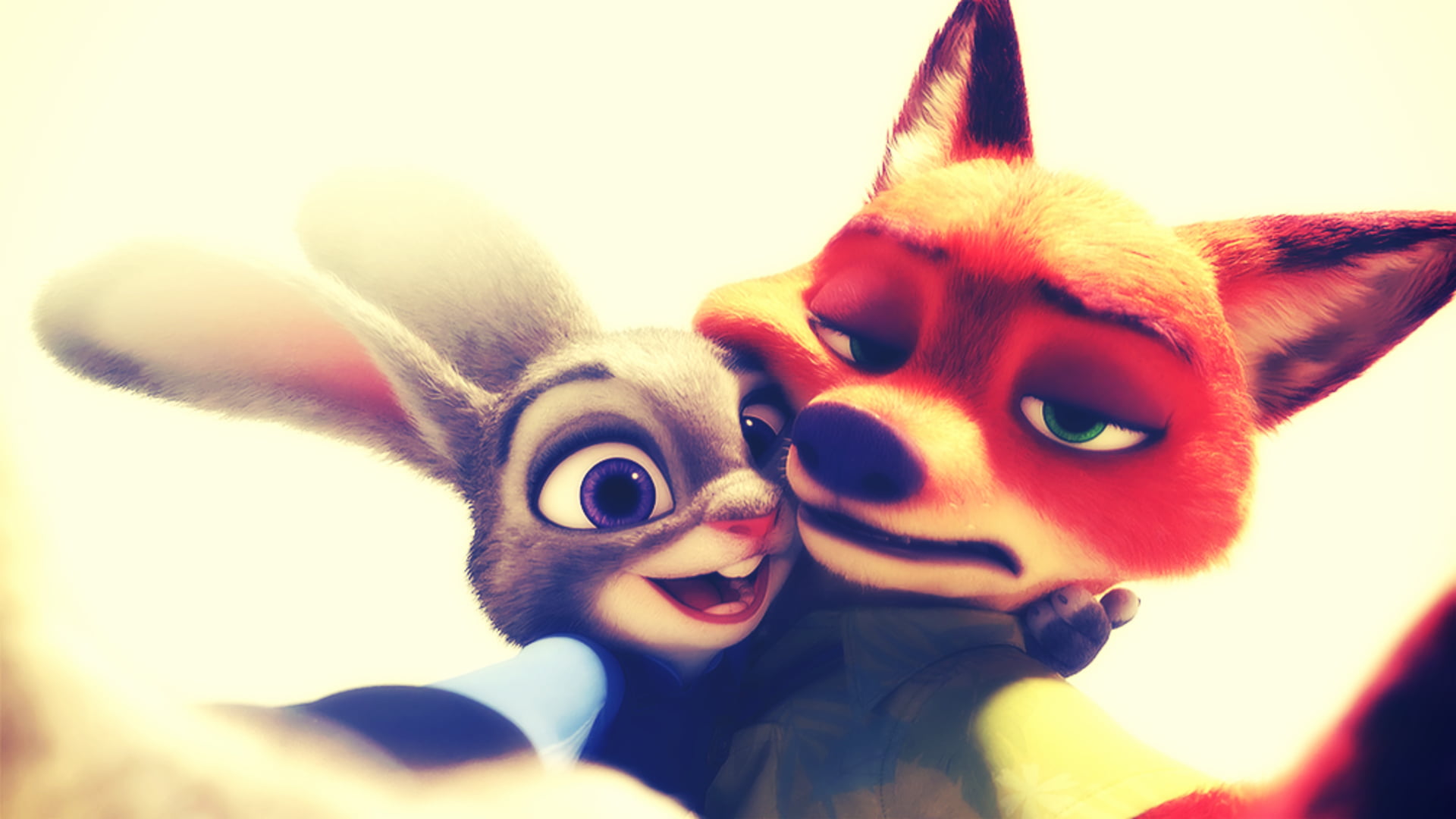 small, portrait, 1080P, domestic, costume, humor, indoors, Zootopia, people, emotion, dog, close-up, pets, fun, celebration, mammal, canine, movies, looking at camera, HD Wallpaper