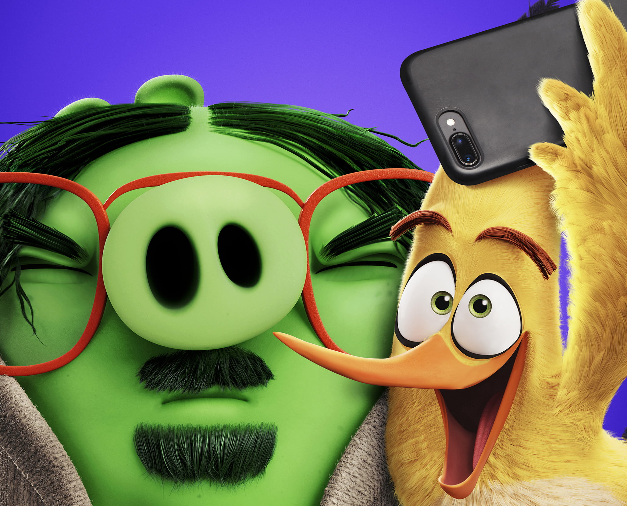 Movie, The Angry Birds Movie 2, 1080P, HD Wallpaper