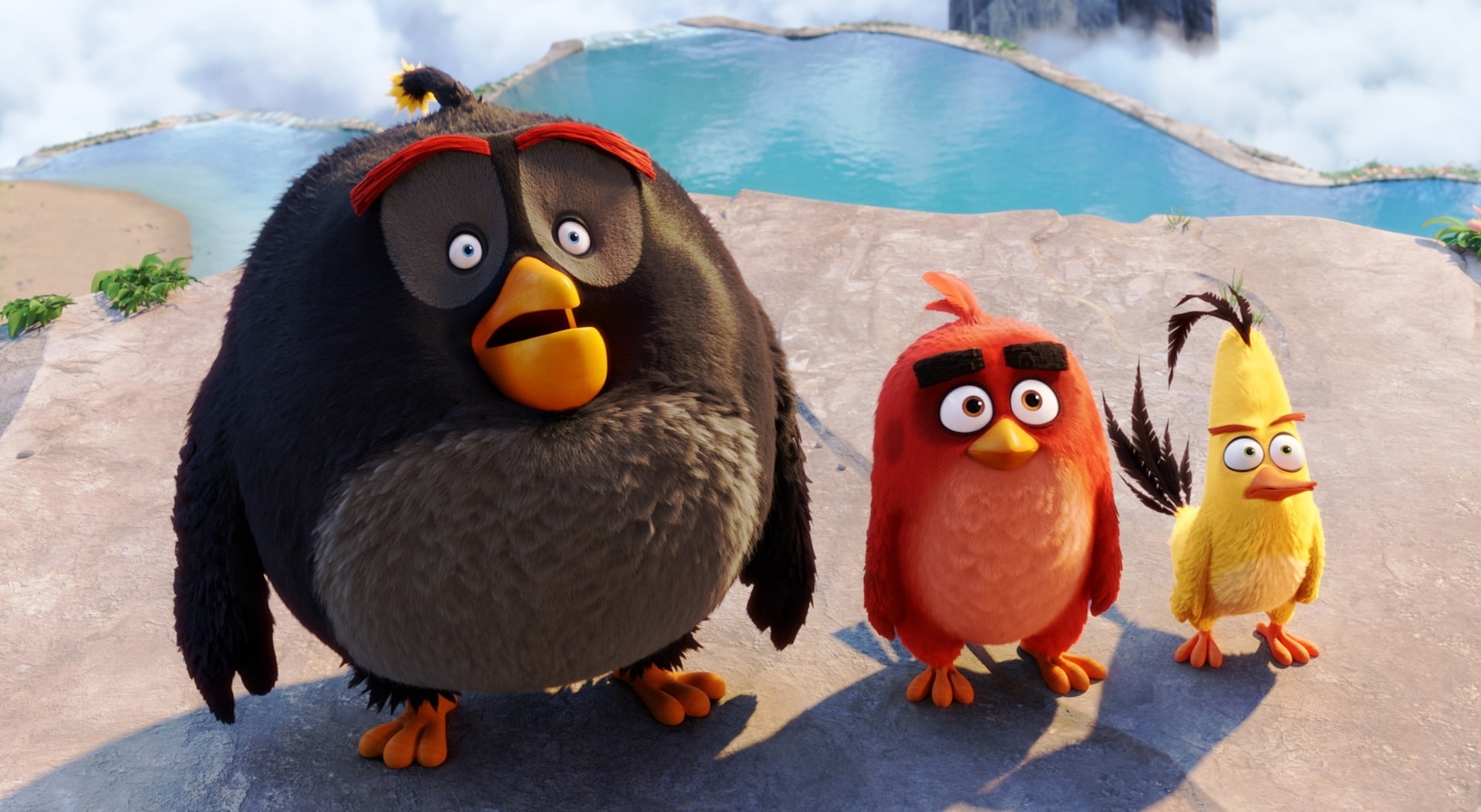 close-up, animal themes, angry, sunlight, no people, animal wildlife, red, two animals, birds, bomb, Cartoons, bird, 1080P, nature, animals in the wild, HD Wallpaper