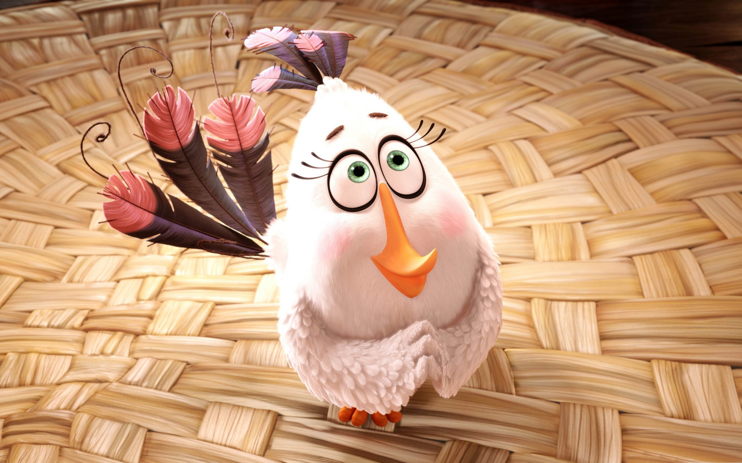container, humor, 2K, birds, angry, human representation, mammal, fun, no people, basket, craft, hd, wicker, art and craft, close-up, creativity, HD Wallpaper