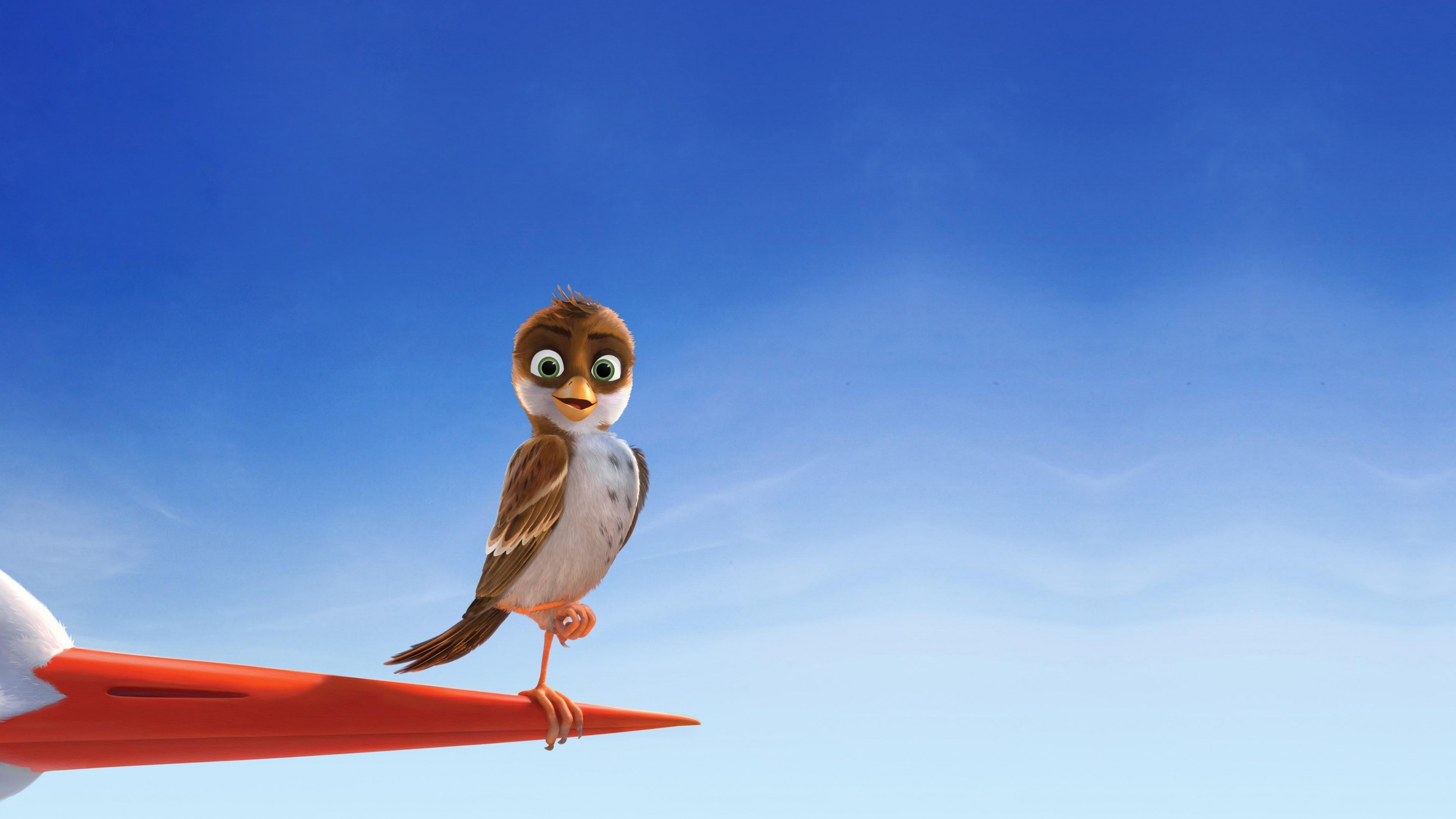 brown, red, Richard the Stork, Best Animation Movies of 2016, 4K, bird, standing, birds, HD Wallpaper