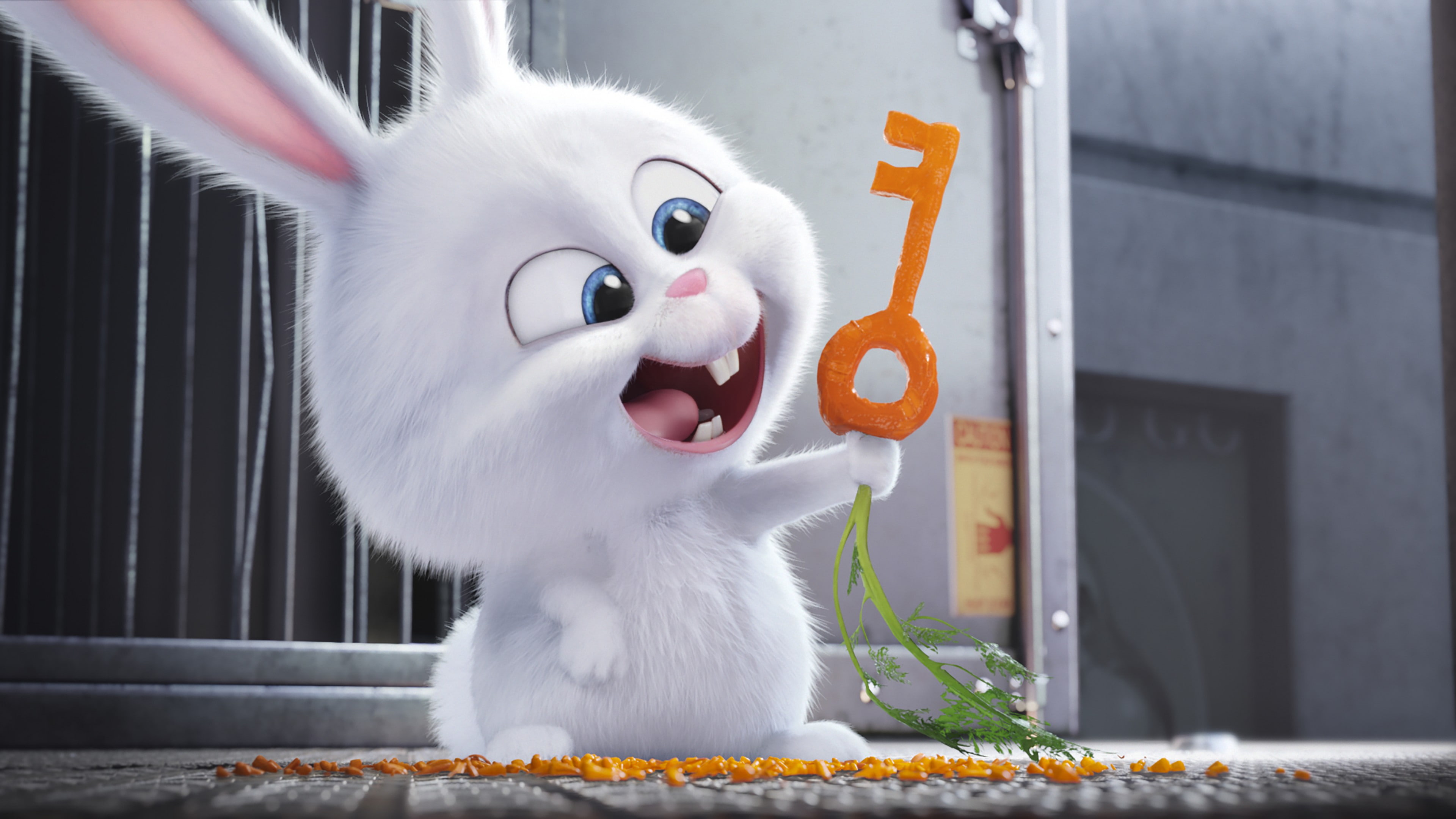 Best Animation Movies of 2016, cartoon, rabbit, The Secret Life of Pets, 4K, HD Wallpaper