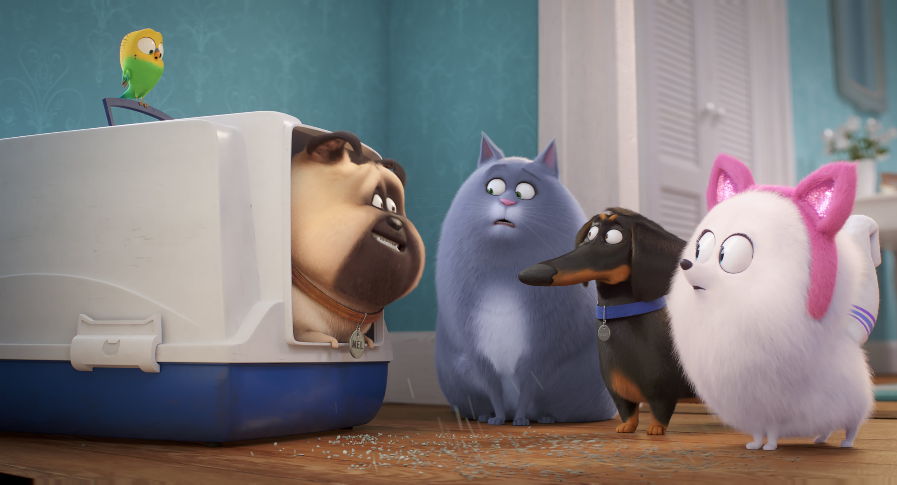 The Secret Life of Pets 2, 2K, Movie, HD Wallpaper