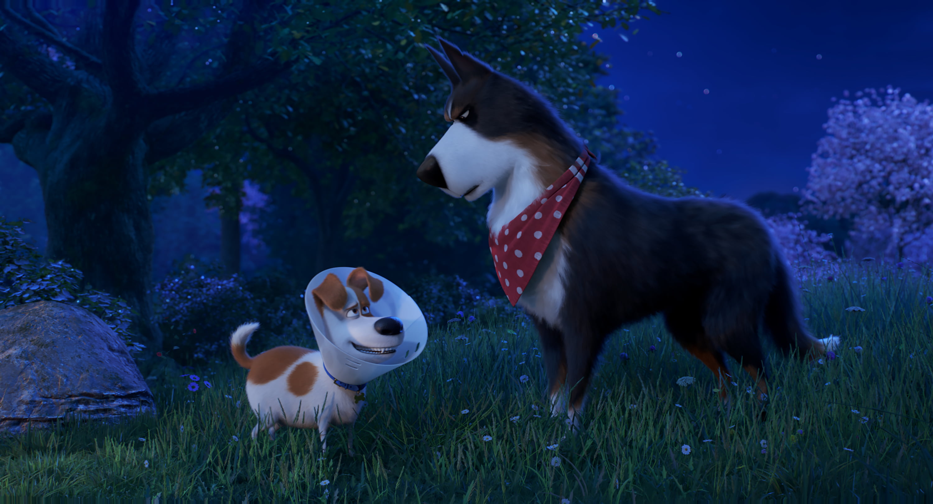 Movie, 2K, The Secret Life of Pets 2, HD Wallpaper